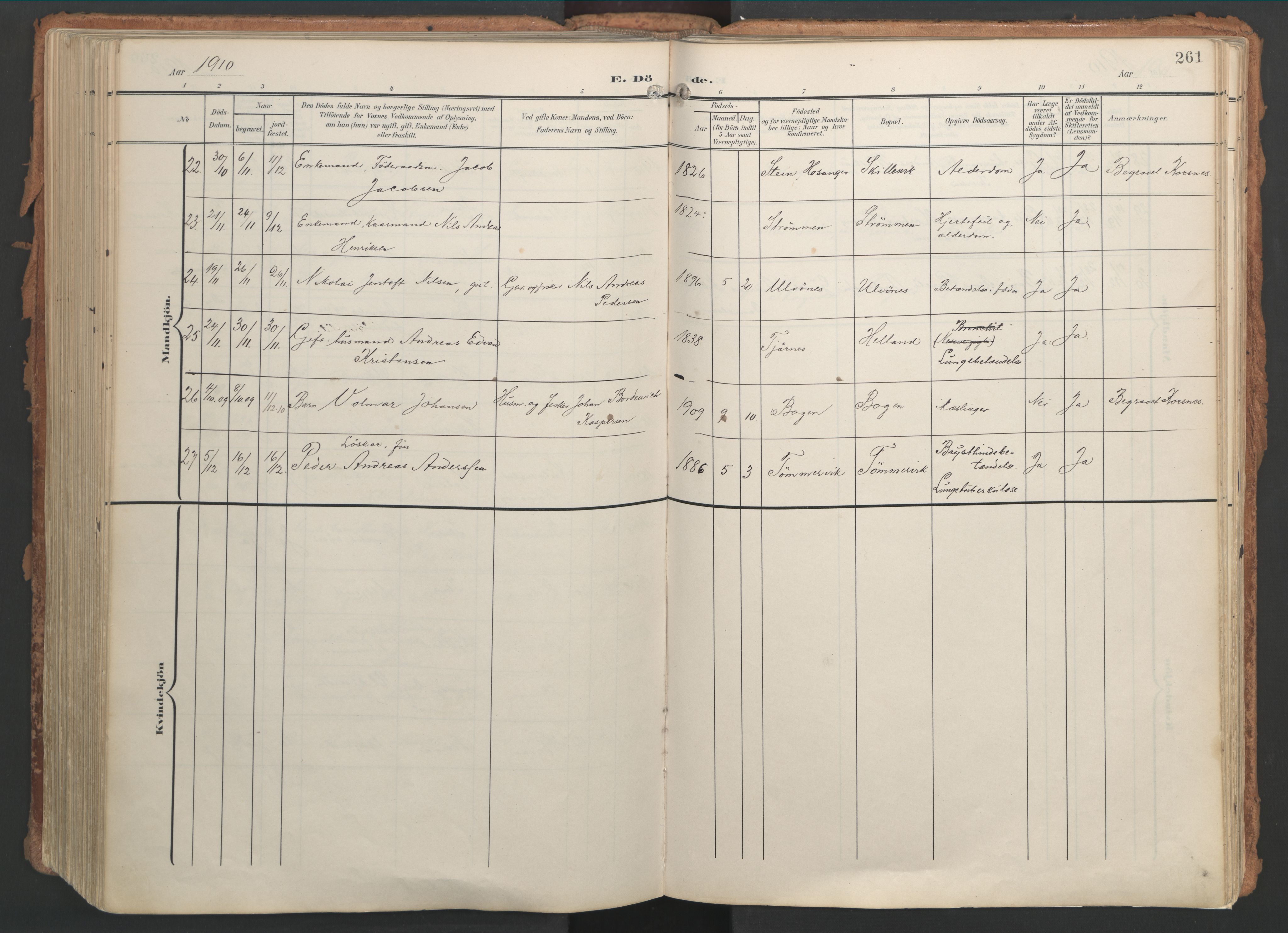 Ministerialprotokoller, klokkerbøker og fødselsregistre - Nordland, AV/SAT-A-1459/861/L0871: Parish register (official) no. 861A06, 1903-1916, p. 261