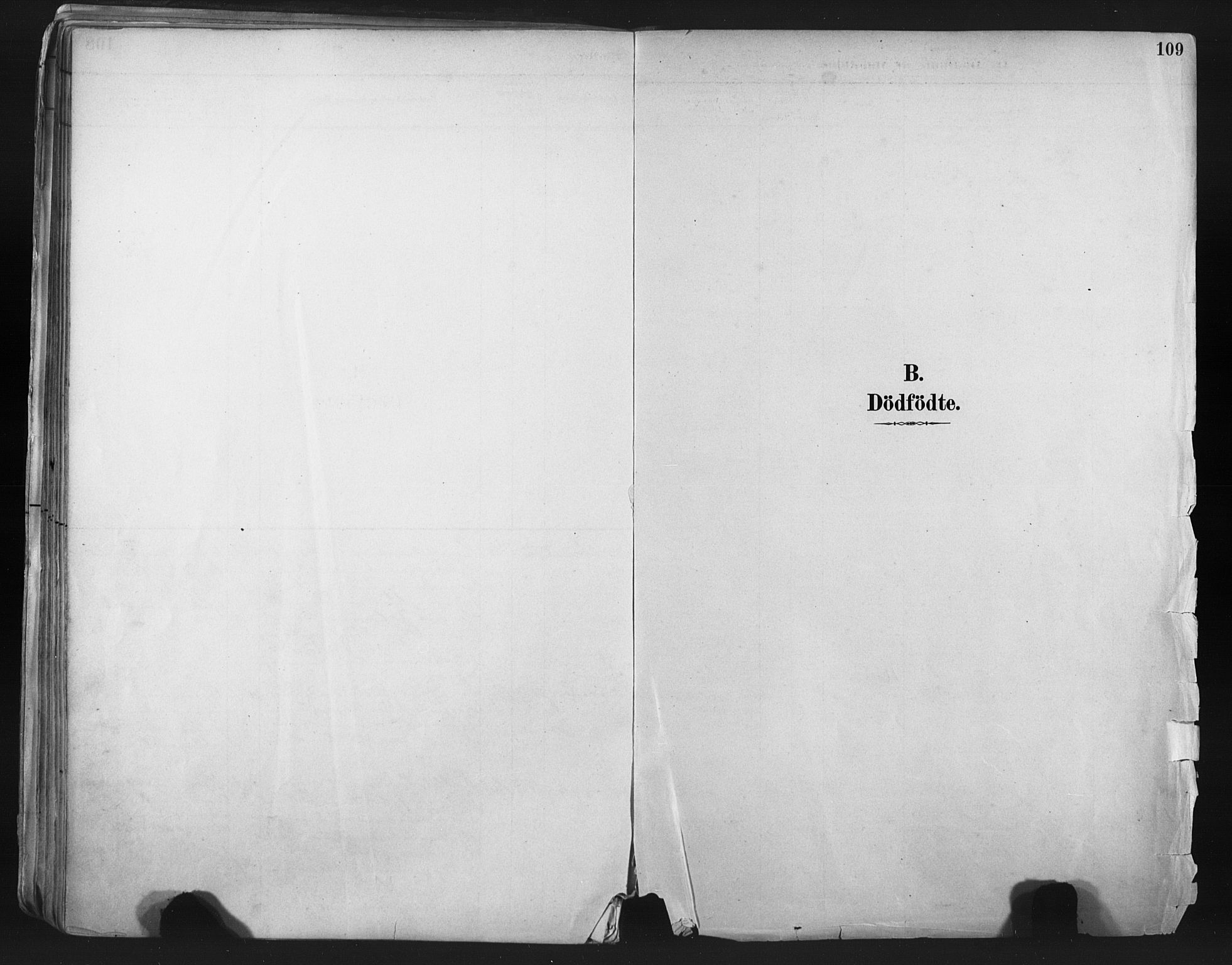 Nesseby sokneprestkontor, AV/SATØ-S-1330/H/Ha/L0006kirke: Parish register (official) no. 6, 1885-1985, p. 109