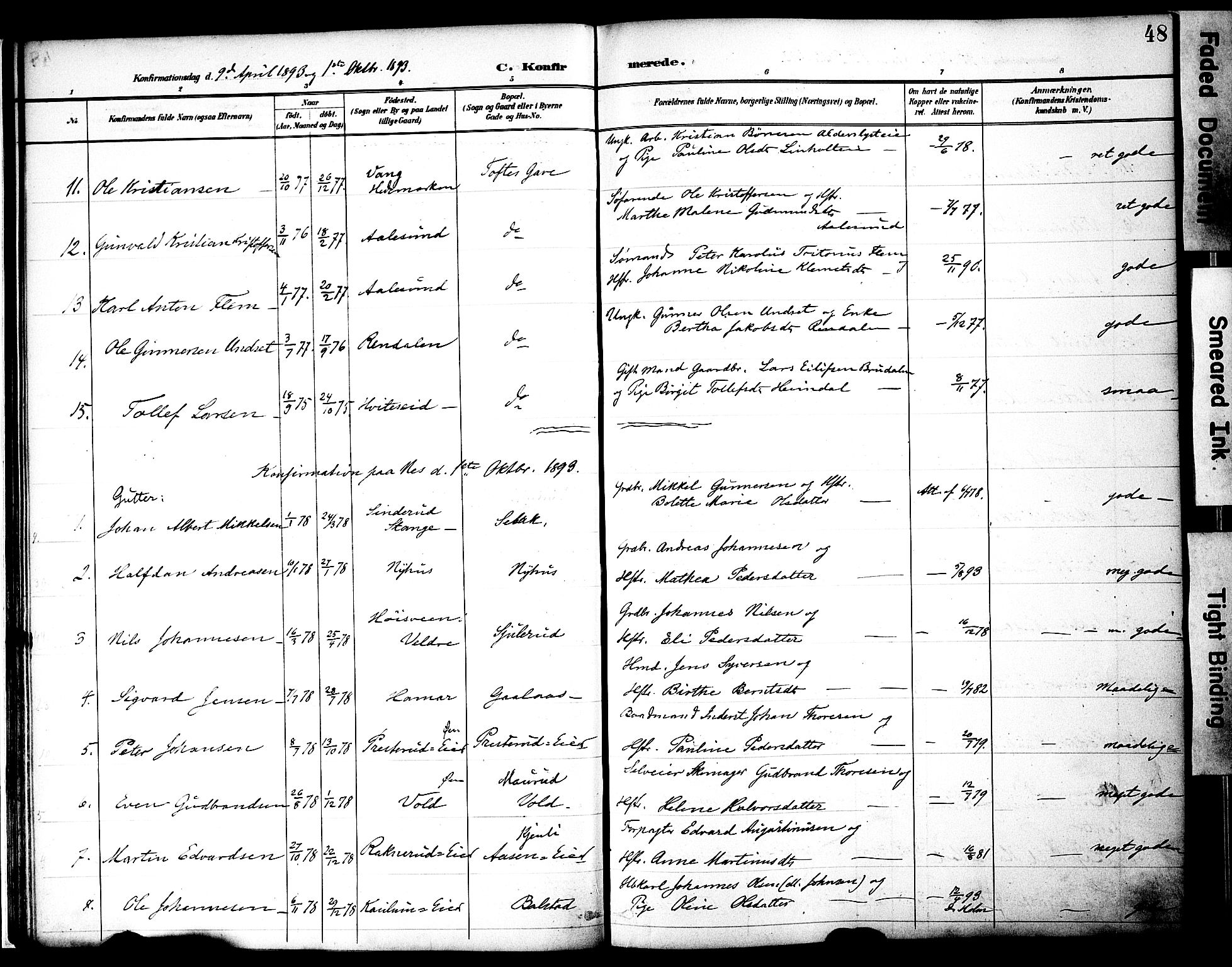 Nes prestekontor, Hedmark, AV/SAH-PREST-020/K/Ka/L0010: Parish register (official) no. 10, 1887-1905, p. 48