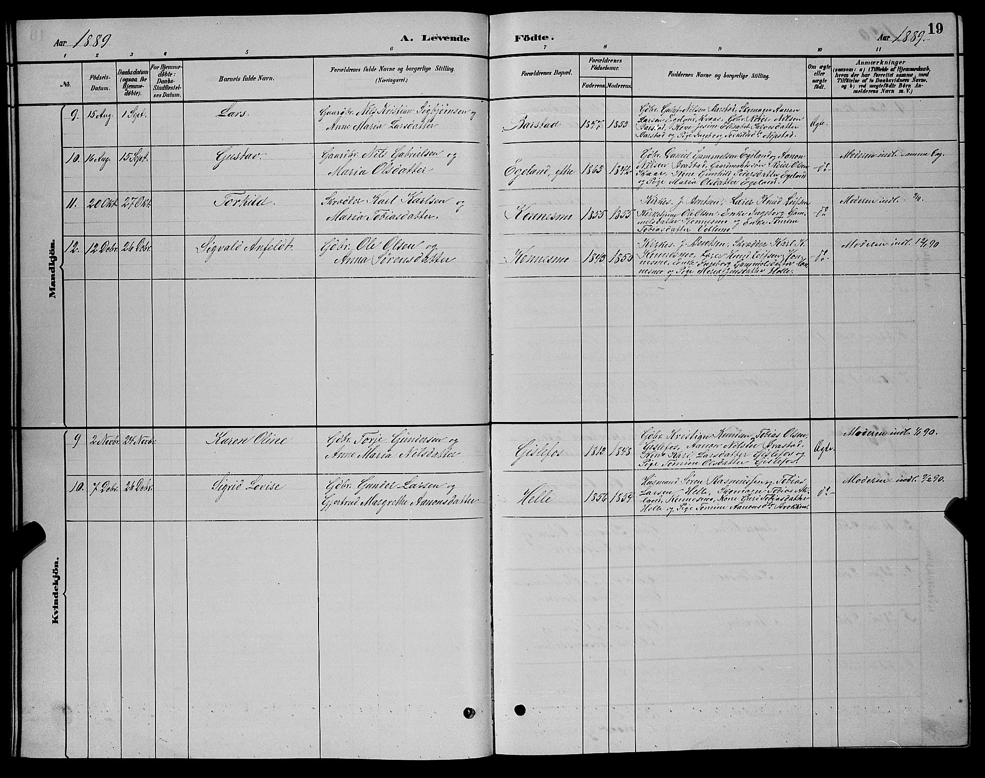 Nord-Audnedal sokneprestkontor, AV/SAK-1111-0032/F/Fb/Fba/L0003: Parish register (copy) no. B 3, 1881-1900, p. 19