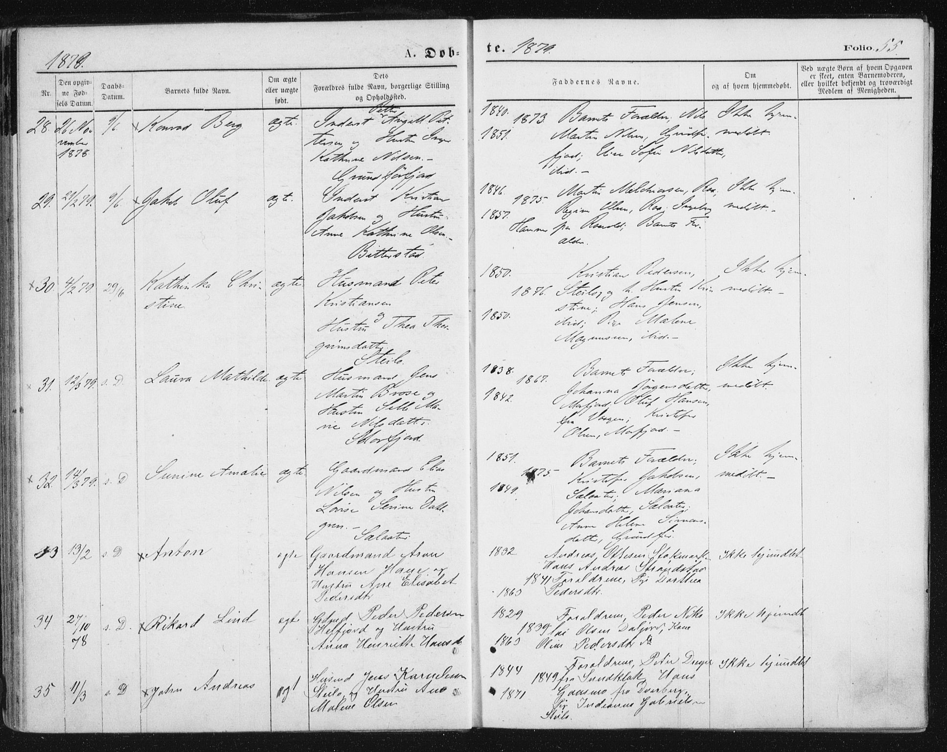 Ministerialprotokoller, klokkerbøker og fødselsregistre - Nordland, AV/SAT-A-1459/888/L1243: Parish register (official) no. 888A09, 1876-1879, p. 55