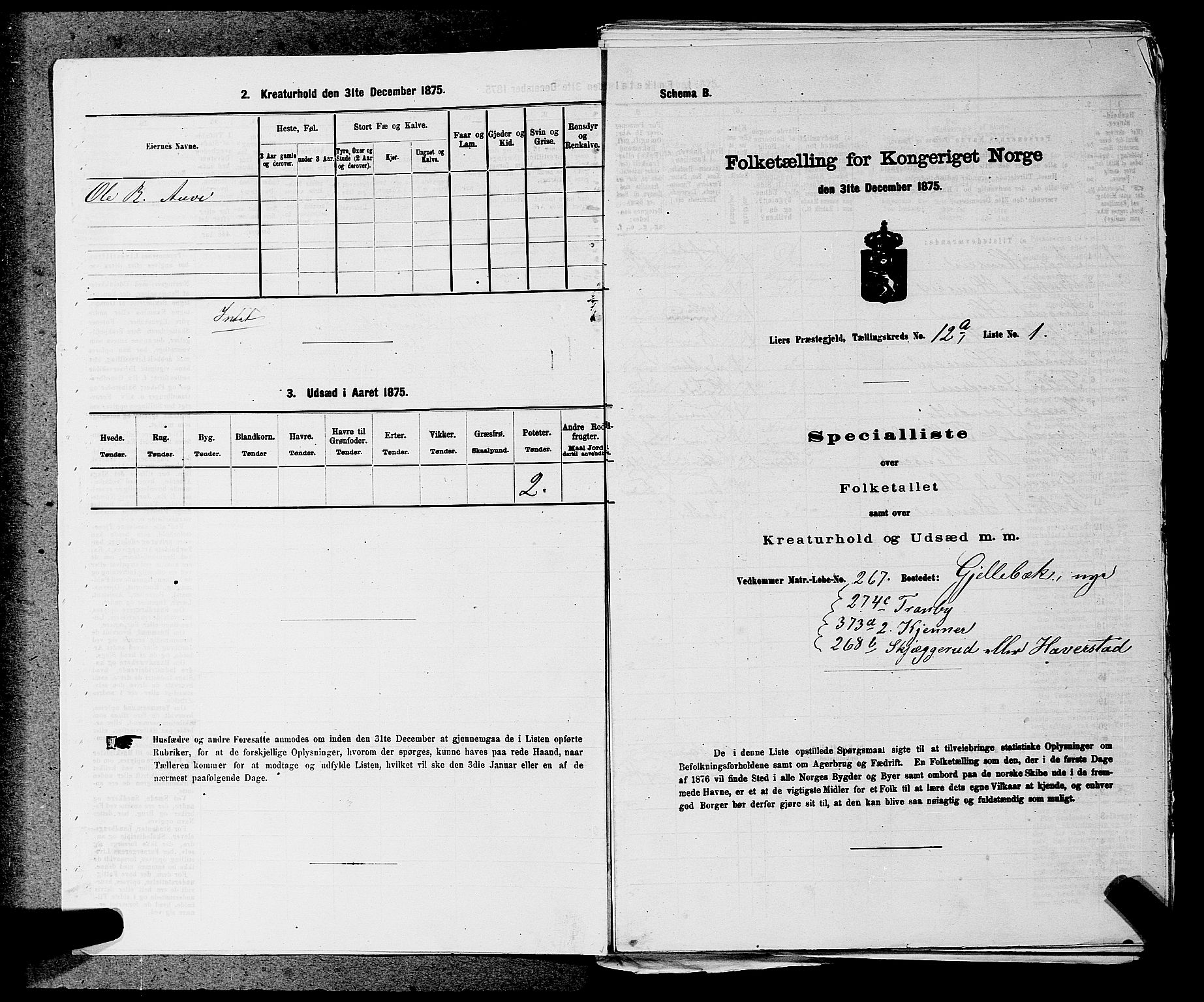 SAKO, 1875 census for 0626P Lier, 1875, p. 1957