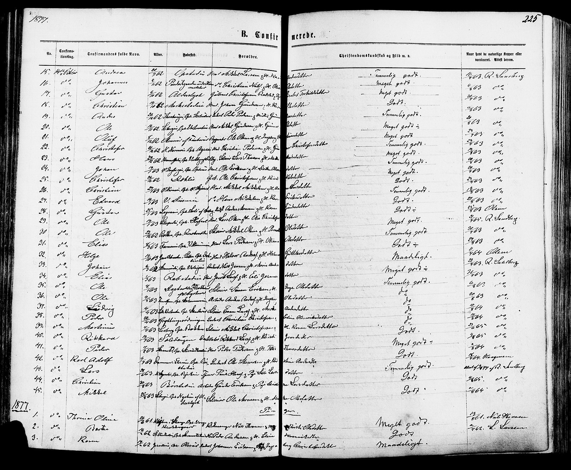 Vang prestekontor, Hedmark, AV/SAH-PREST-008/H/Ha/Haa/L0015: Parish register (official) no. 15, 1871-1885, p. 225