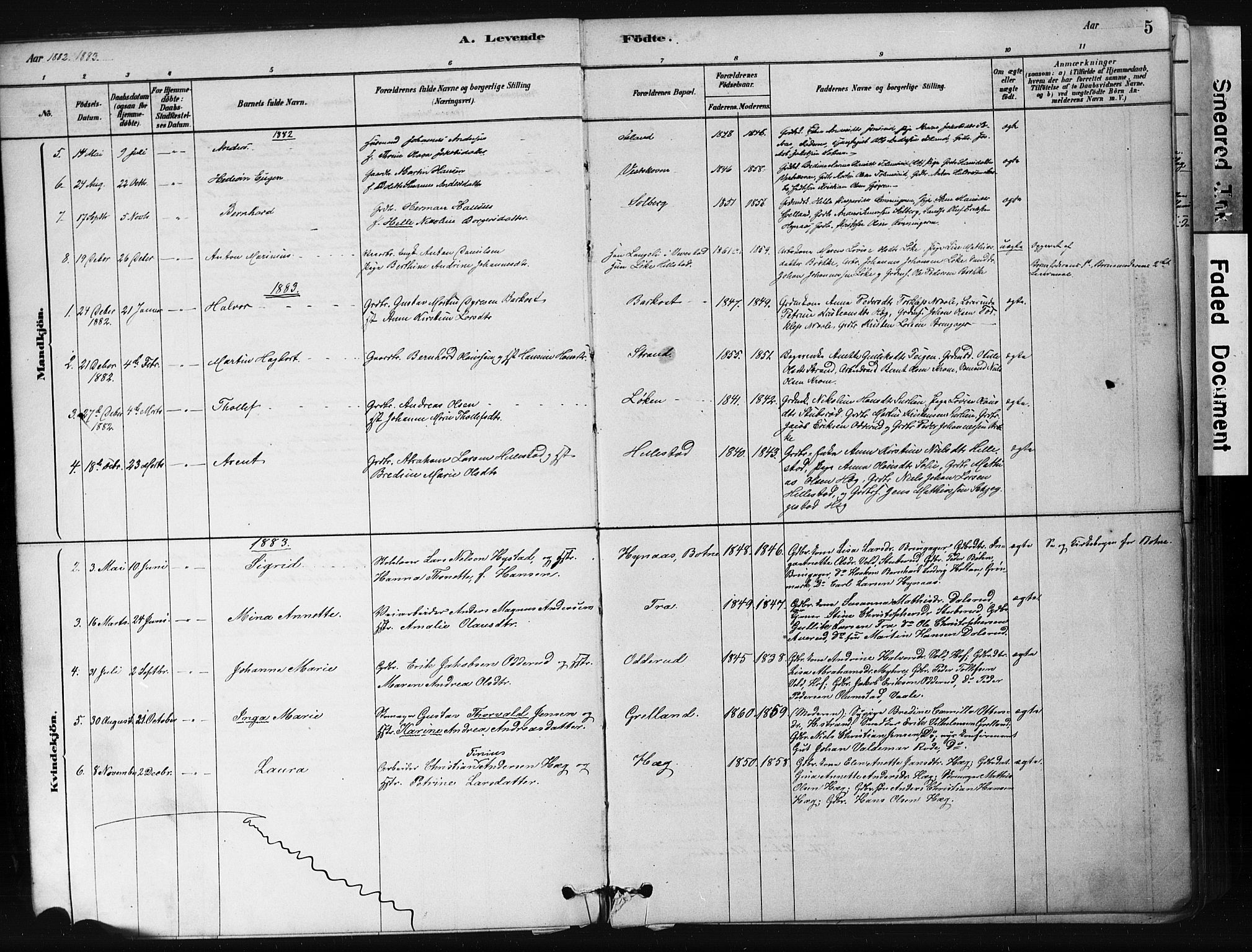 Botne kirkebøker, AV/SAKO-A-340/F/Fb/L0001: Parish register (official) no. II 1, 1878-1902, p. 5