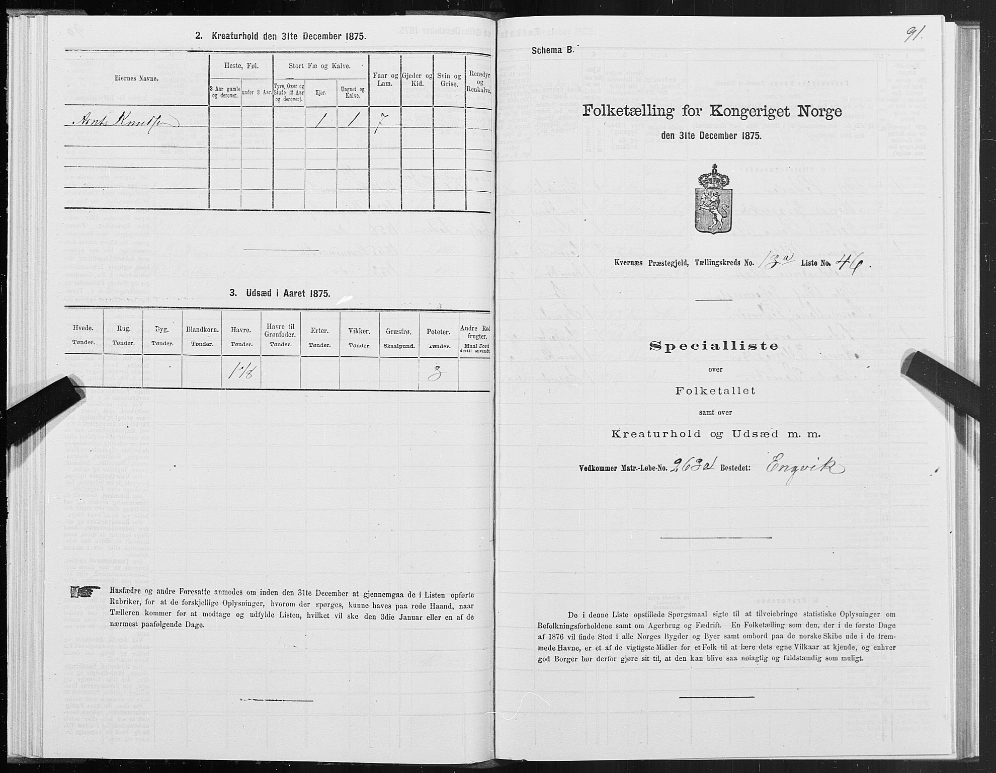 SAT, 1875 census for 1553P Kvernes, 1875, p. 7091