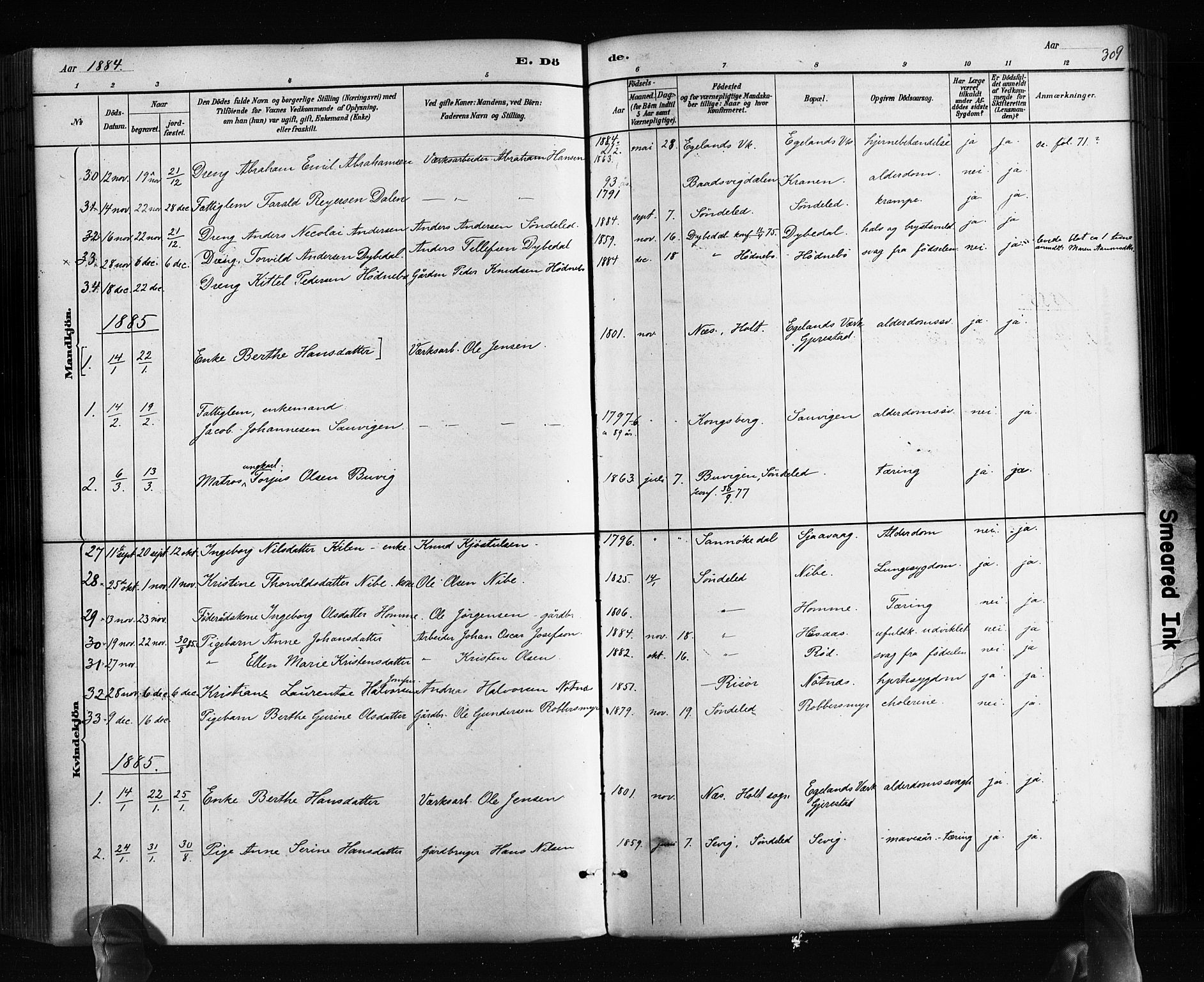Søndeled sokneprestkontor, SAK/1111-0038/F/Fa/L0004: Parish register (official) no. A 4, 1880-1889, p. 309