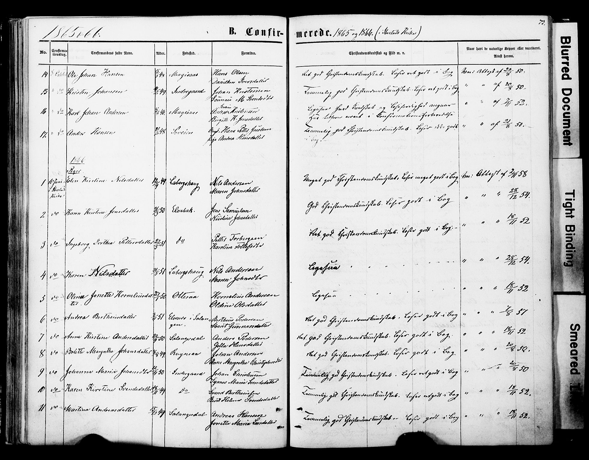Ibestad sokneprestembete, SATØ/S-0077/H/Ha/Haa/L0013kirke: Parish register (official) no. 13, 1865-1879, p. 73