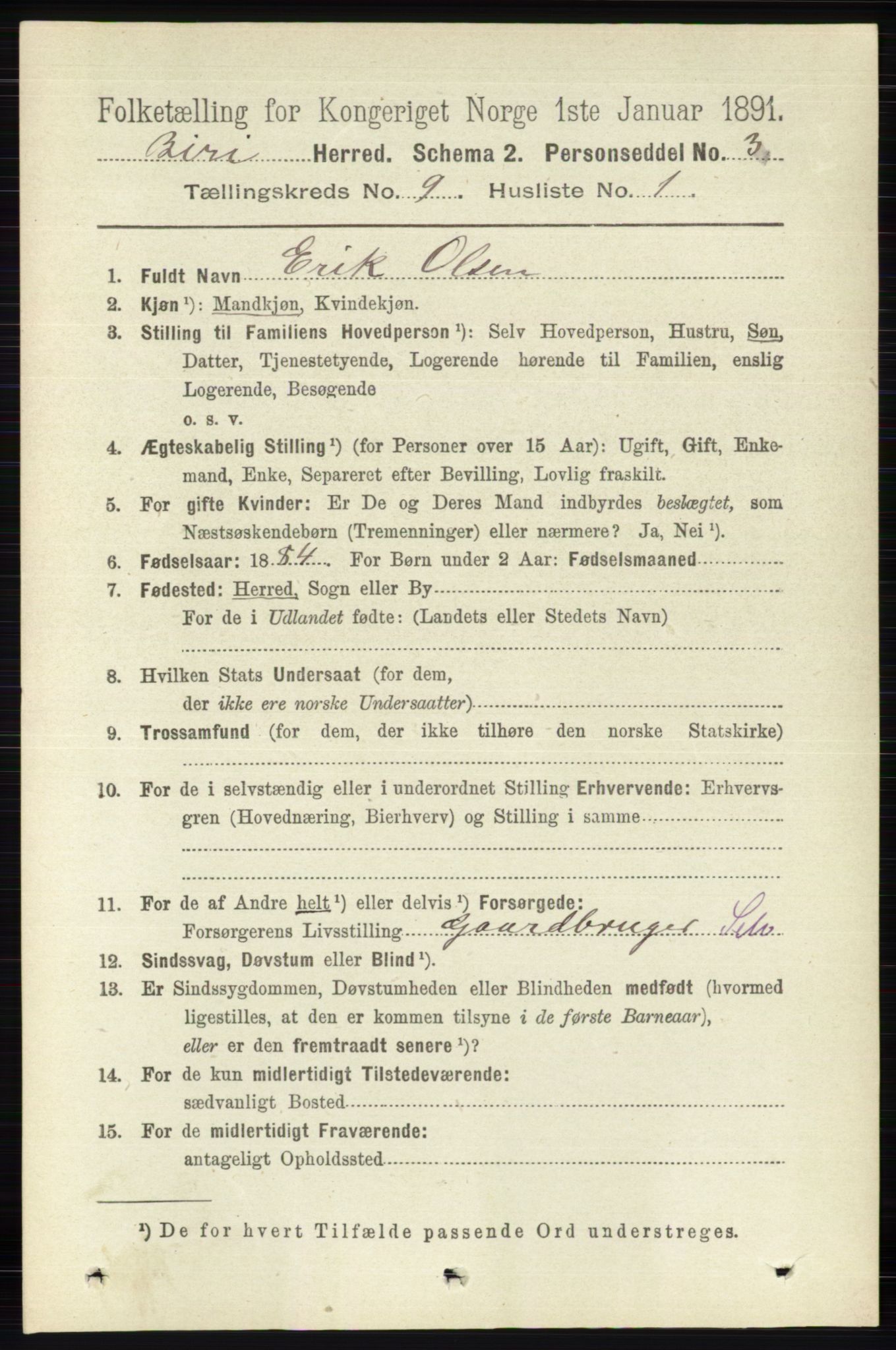 RA, 1891 census for 0525 Biri, 1891, p. 3389