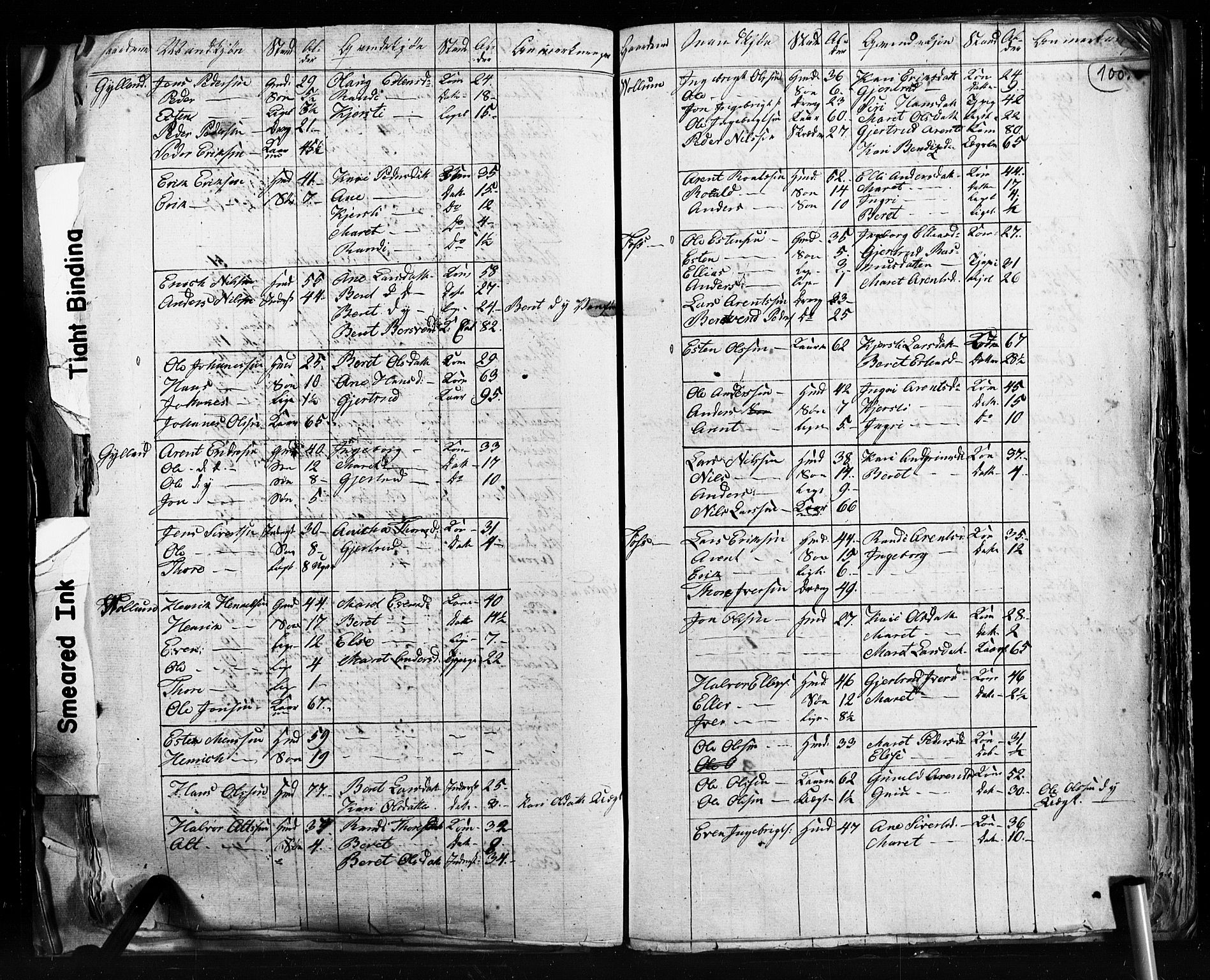 , 1825 Census for Støren parish, 1825, p. 100