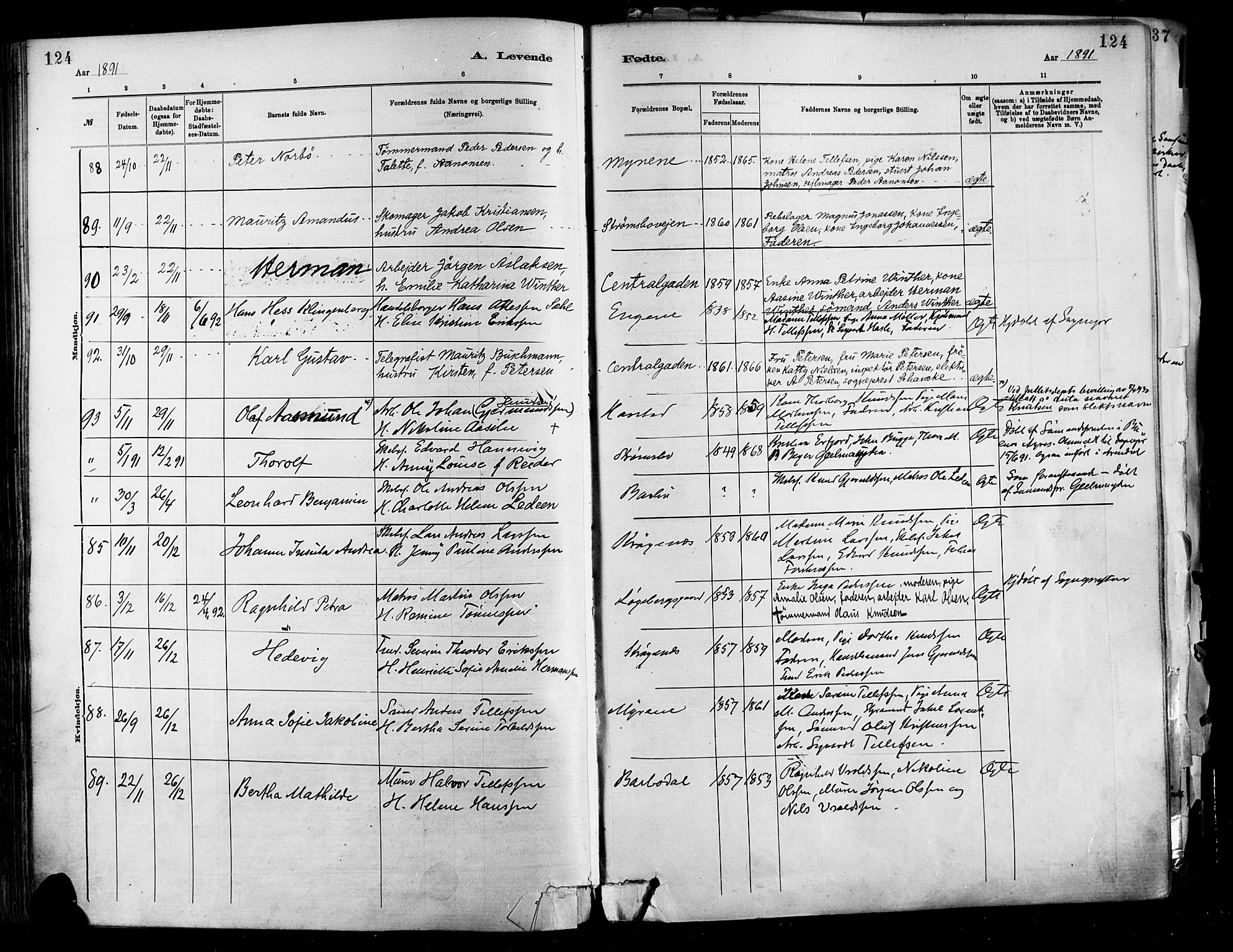 Barbu sokneprestkontor, AV/SAK-1111-0003/F/Fa/L0002: Parish register (official) no. A 2, 1883-1898, p. 124