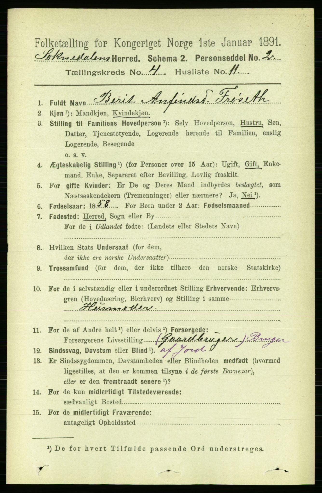 RA, 1891 census for 1649 Soknedal, 1891, p. 1667