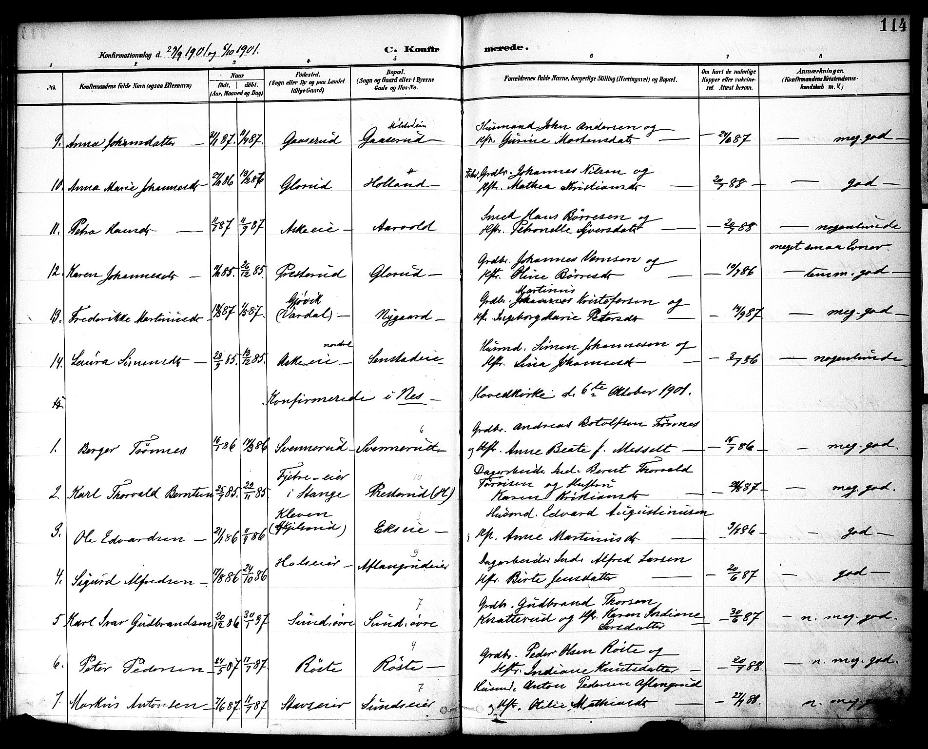 Nes prestekontor, Hedmark, AV/SAH-PREST-020/K/Ka/L0010: Parish register (official) no. 10, 1887-1905, p. 114