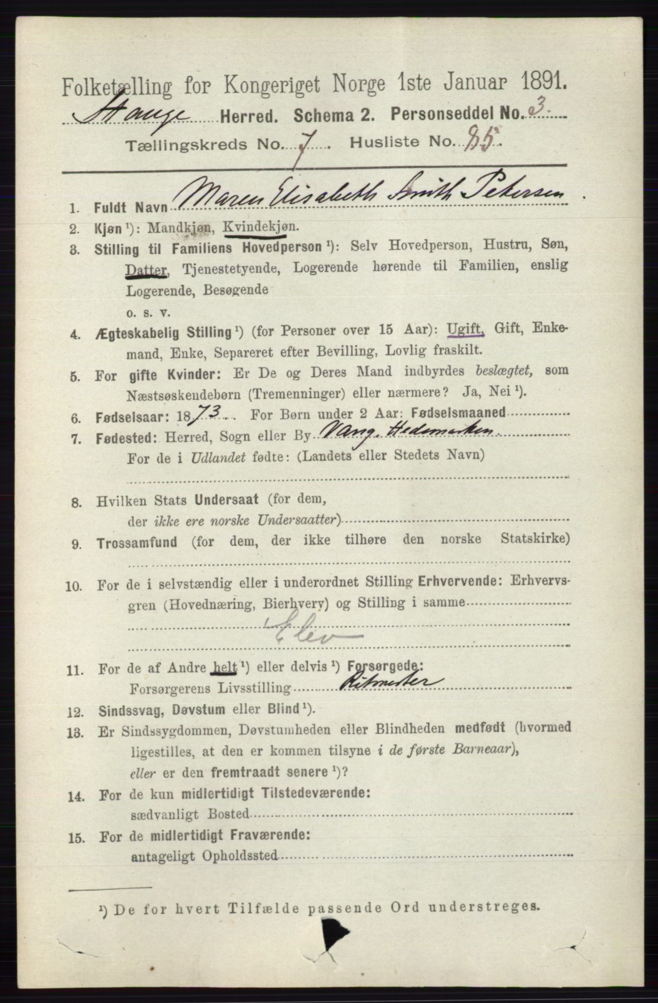 RA, 1891 census for 0417 Stange, 1891, p. 5232