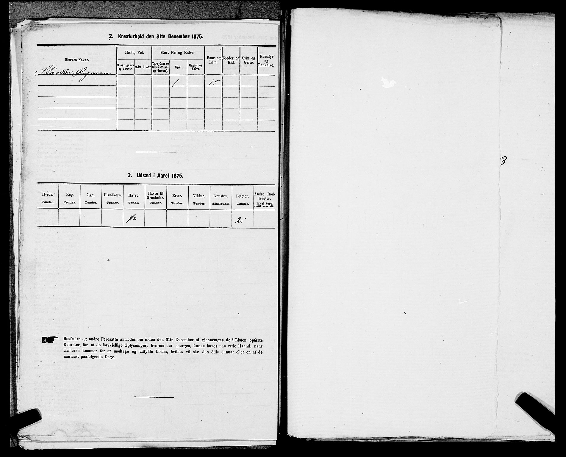 SAST, 1875 census for 1154P Skjold, 1875, p. 216