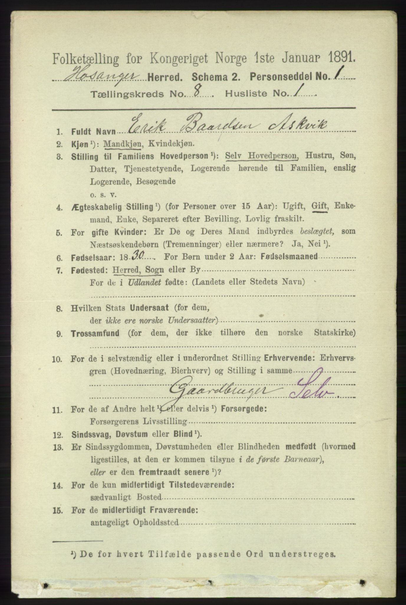 RA, 1891 census for 1253 Hosanger, 1891, p. 2952