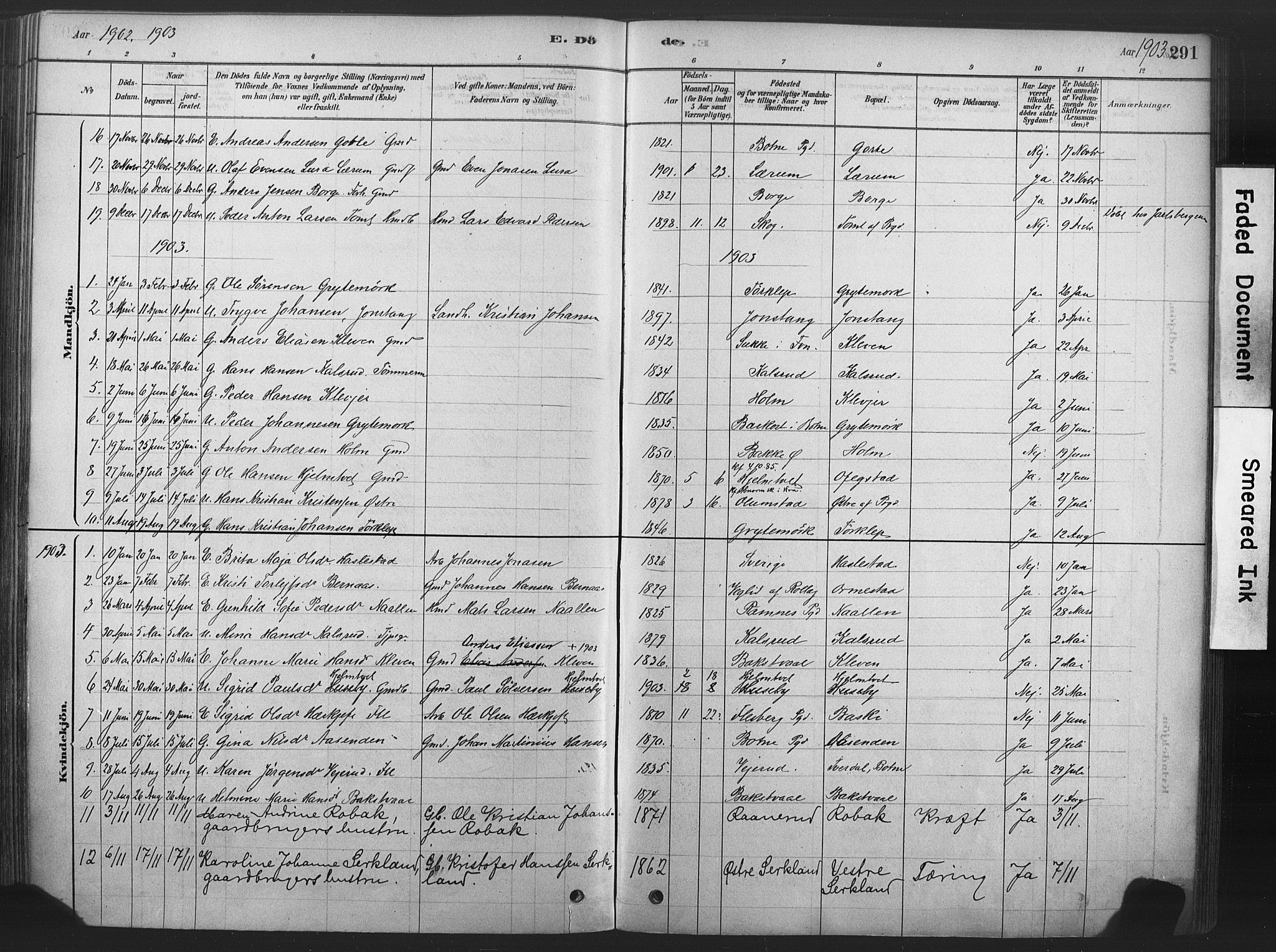 Våle kirkebøker, SAKO/A-334/F/Fa/L0011: Parish register (official) no. I 11, 1878-1906, p. 291