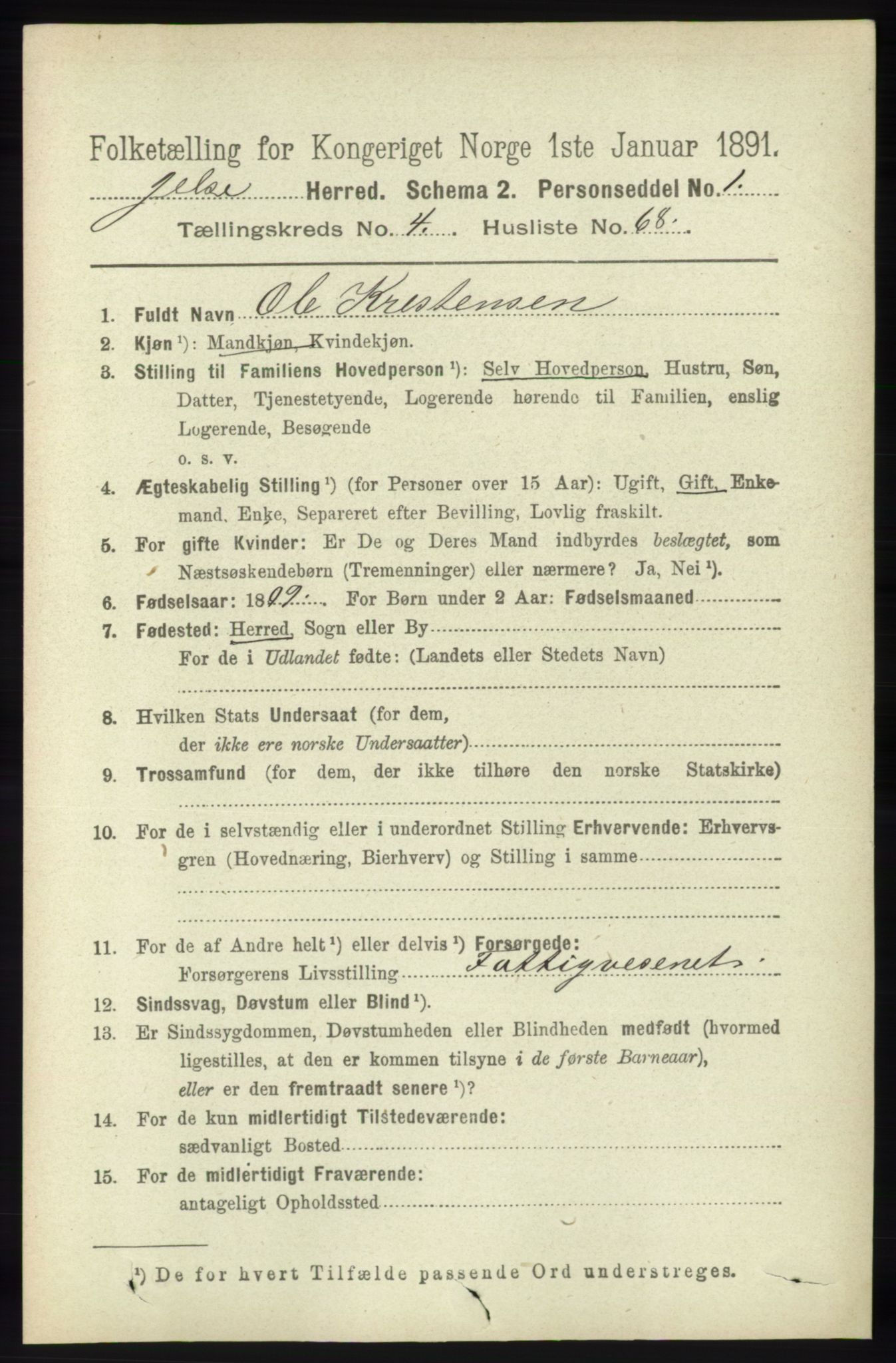 RA, 1891 census for 1138 Jelsa, 1891, p. 1031