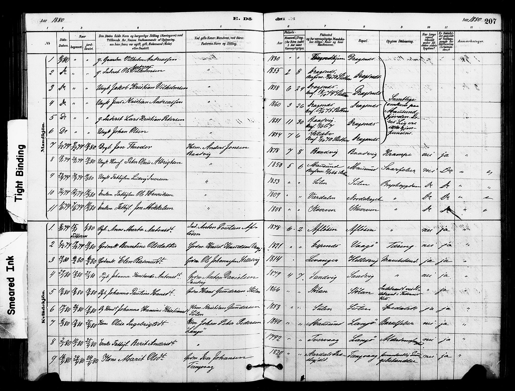 Ministerialprotokoller, klokkerbøker og fødselsregistre - Sør-Trøndelag, SAT/A-1456/640/L0578: Parish register (official) no. 640A03, 1879-1889, p. 207