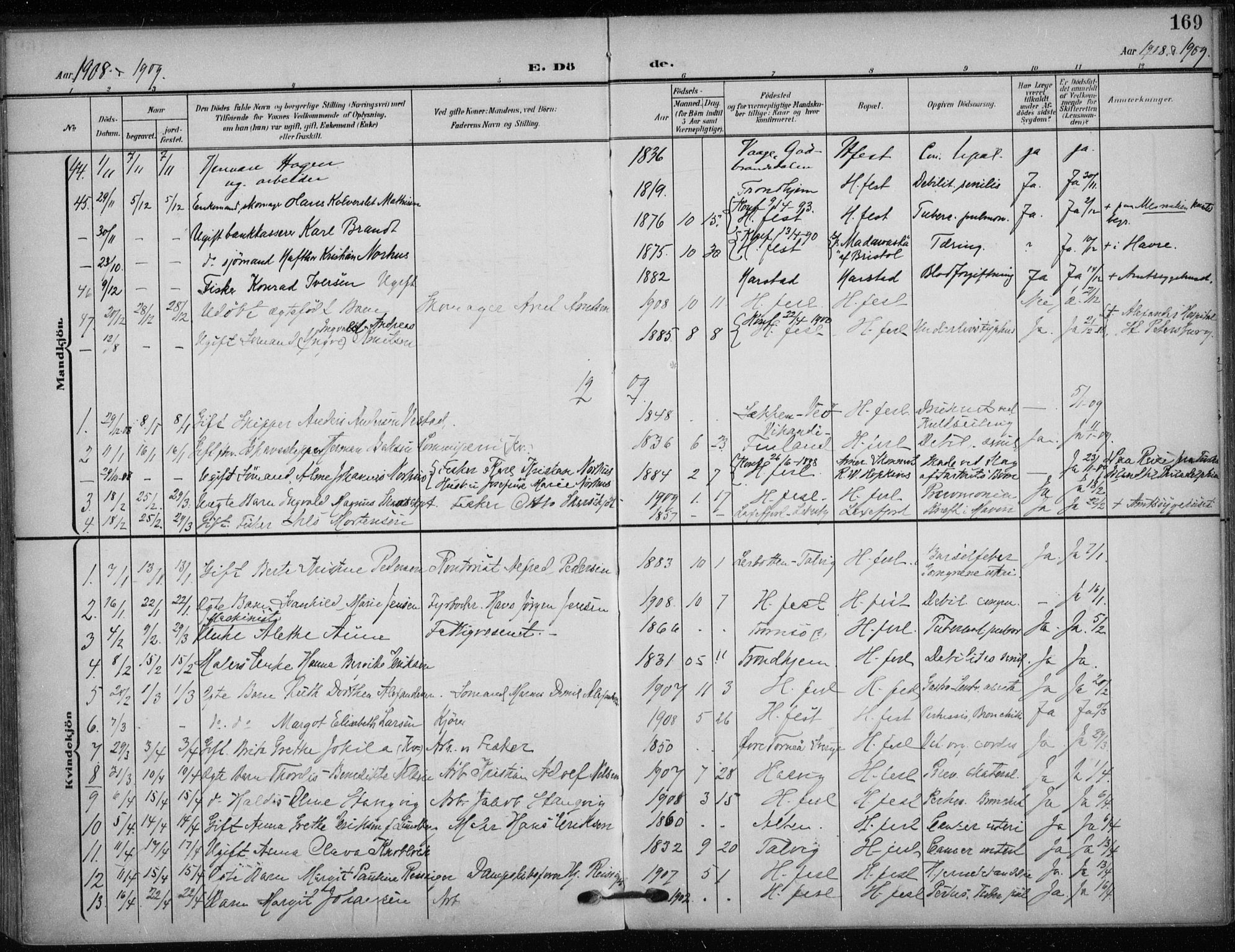 Hammerfest sokneprestkontor, SATØ/S-1347/H/Ha/L0014.kirke: Parish register (official) no. 14, 1906-1916, p. 169