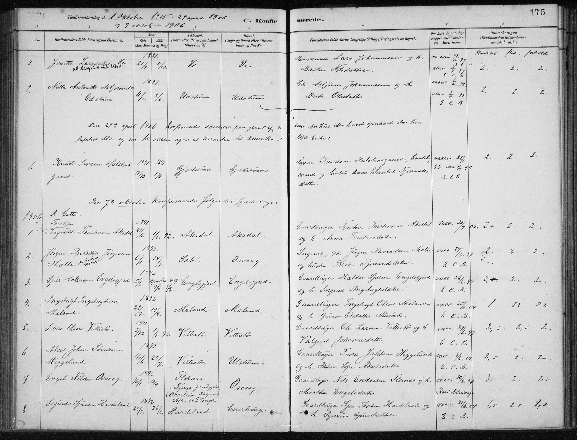 Etne sokneprestembete, AV/SAB-A-75001/H/Haa: Parish register (official) no. C  1, 1879-1919, p. 175