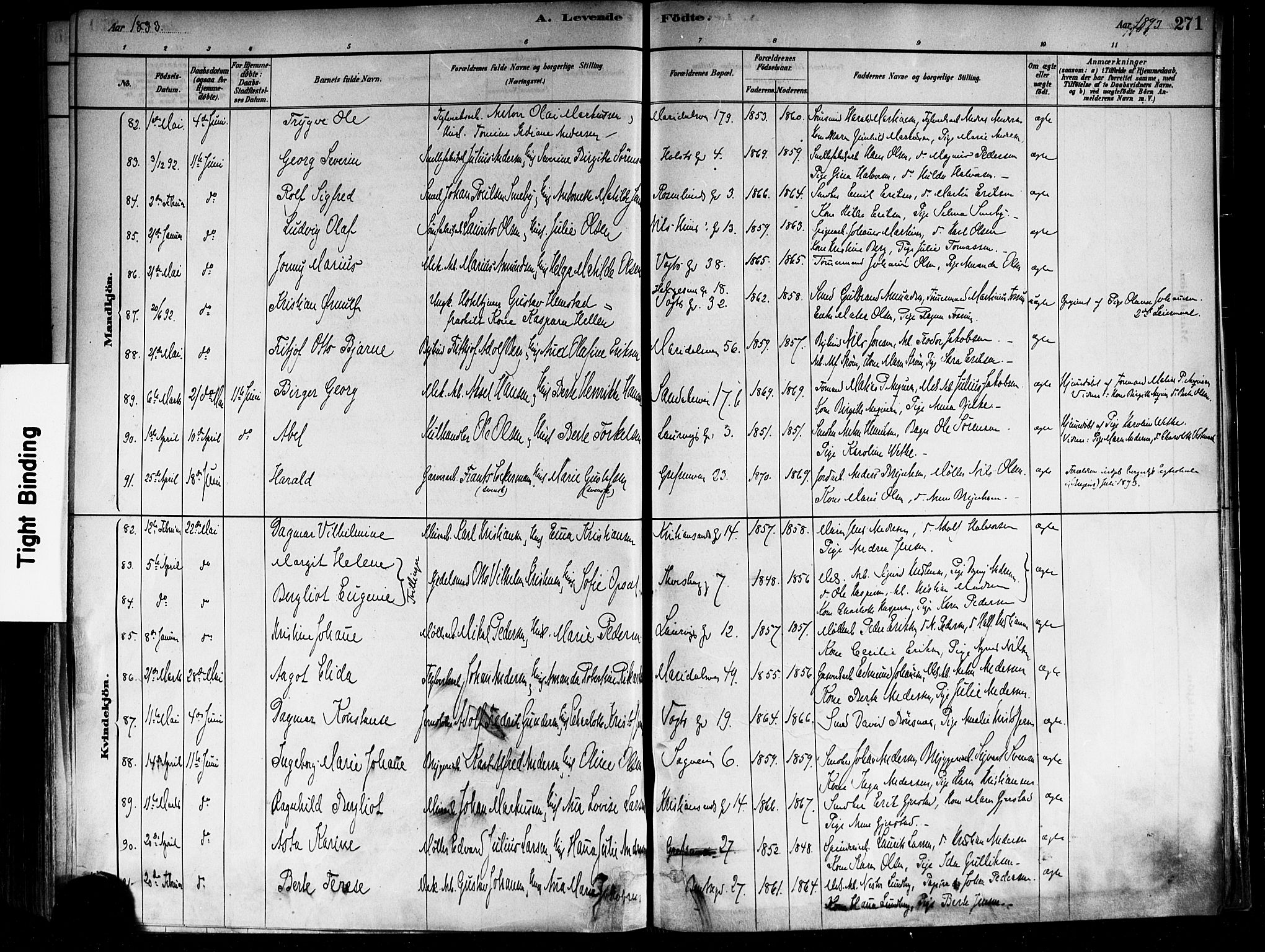 Sagene prestekontor Kirkebøker, SAO/A-10796/F/L0001: Parish register (official) no. 1, 1880-1893, p. 271