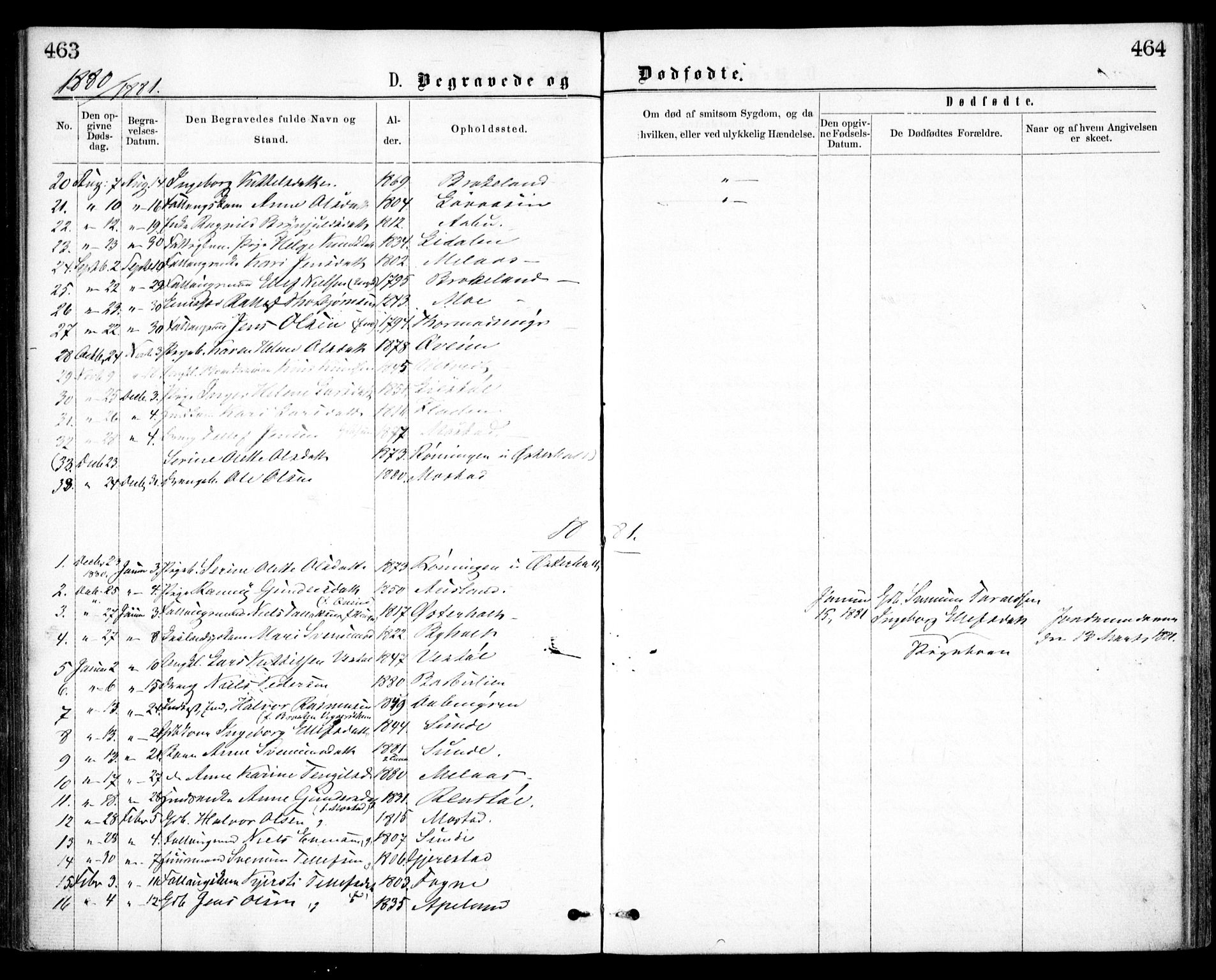 Gjerstad sokneprestkontor, AV/SAK-1111-0014/F/Fa/Faa/L0008: Parish register (official) no. A 8, 1876-1884, p. 463-464