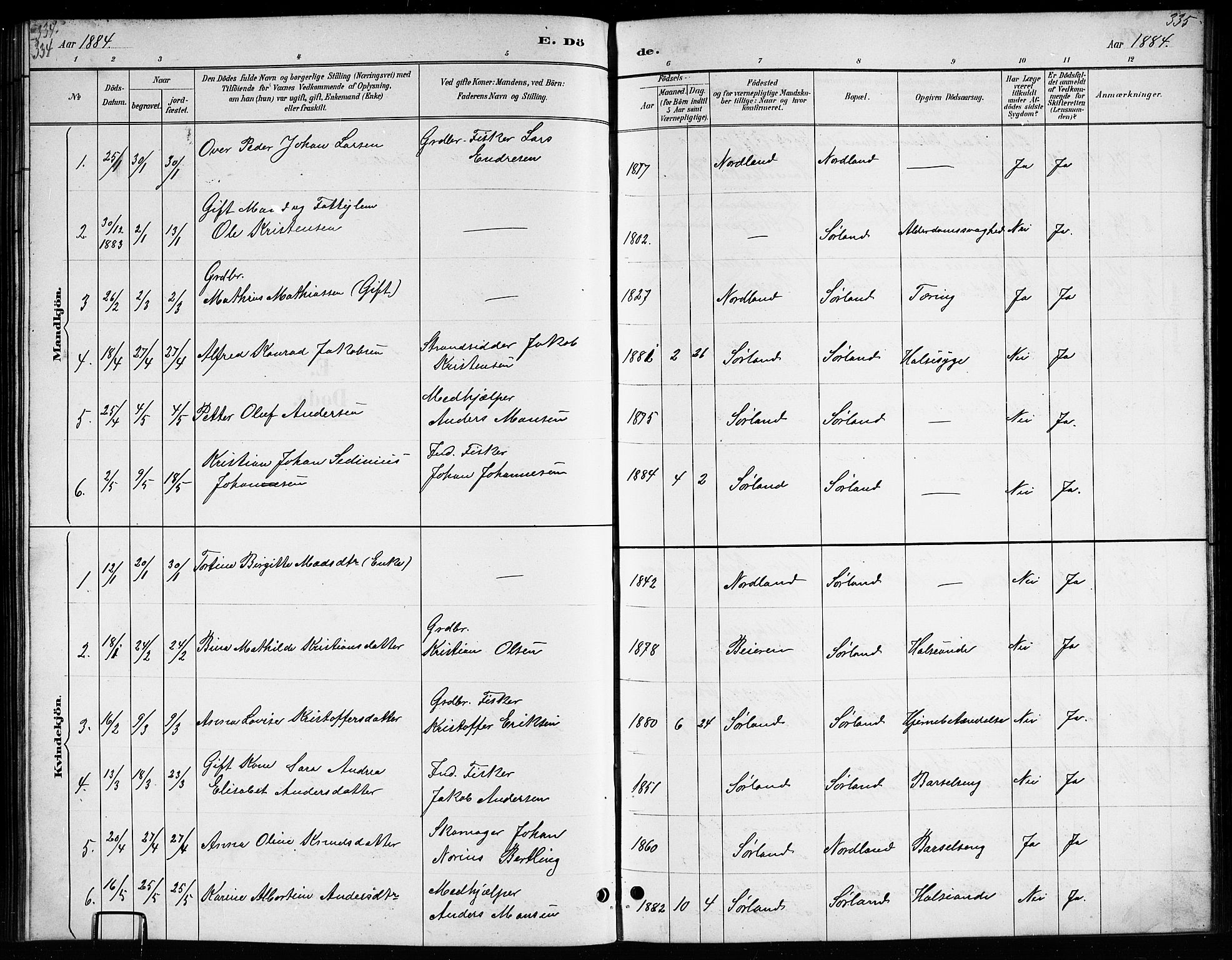 Ministerialprotokoller, klokkerbøker og fødselsregistre - Nordland, AV/SAT-A-1459/807/L0123: Parish register (copy) no. 807C01, 1884-1910, p. 334-335