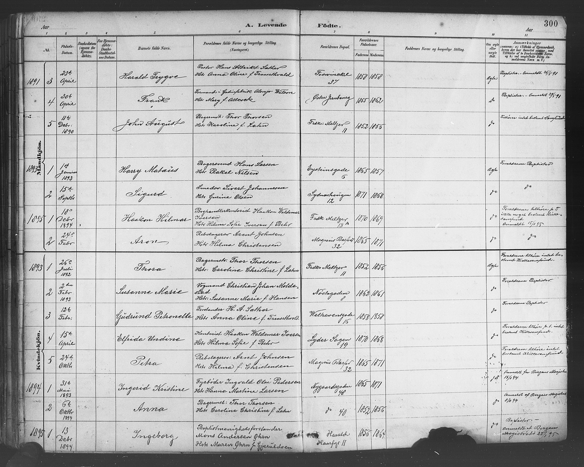 Johanneskirken sokneprestembete, AV/SAB-A-76001/H/Hab: Parish register (copy) no. A 1, 1885-1900, p. 300