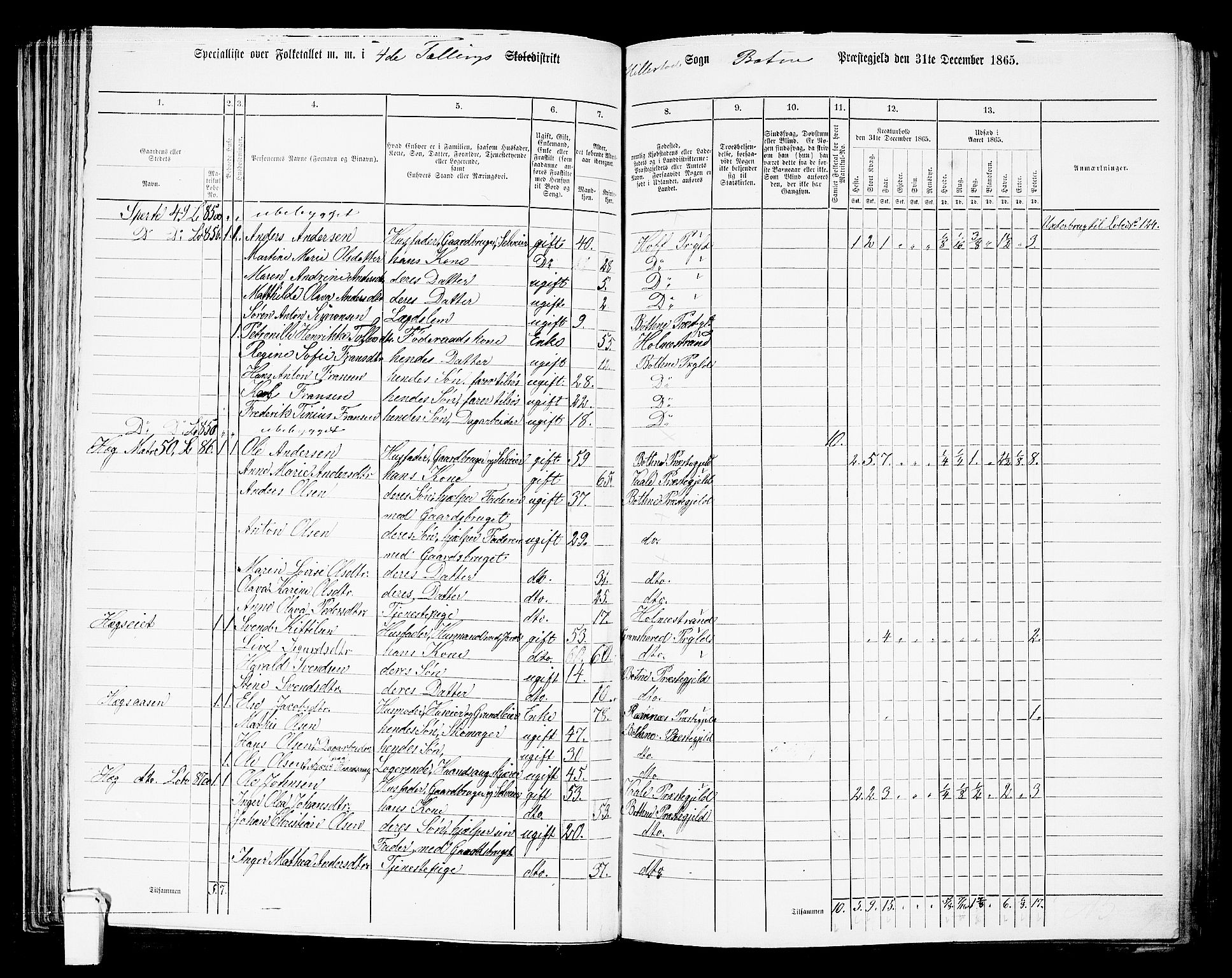 RA, 1865 census for Botne/Botne og Hillestad, 1865, p. 72