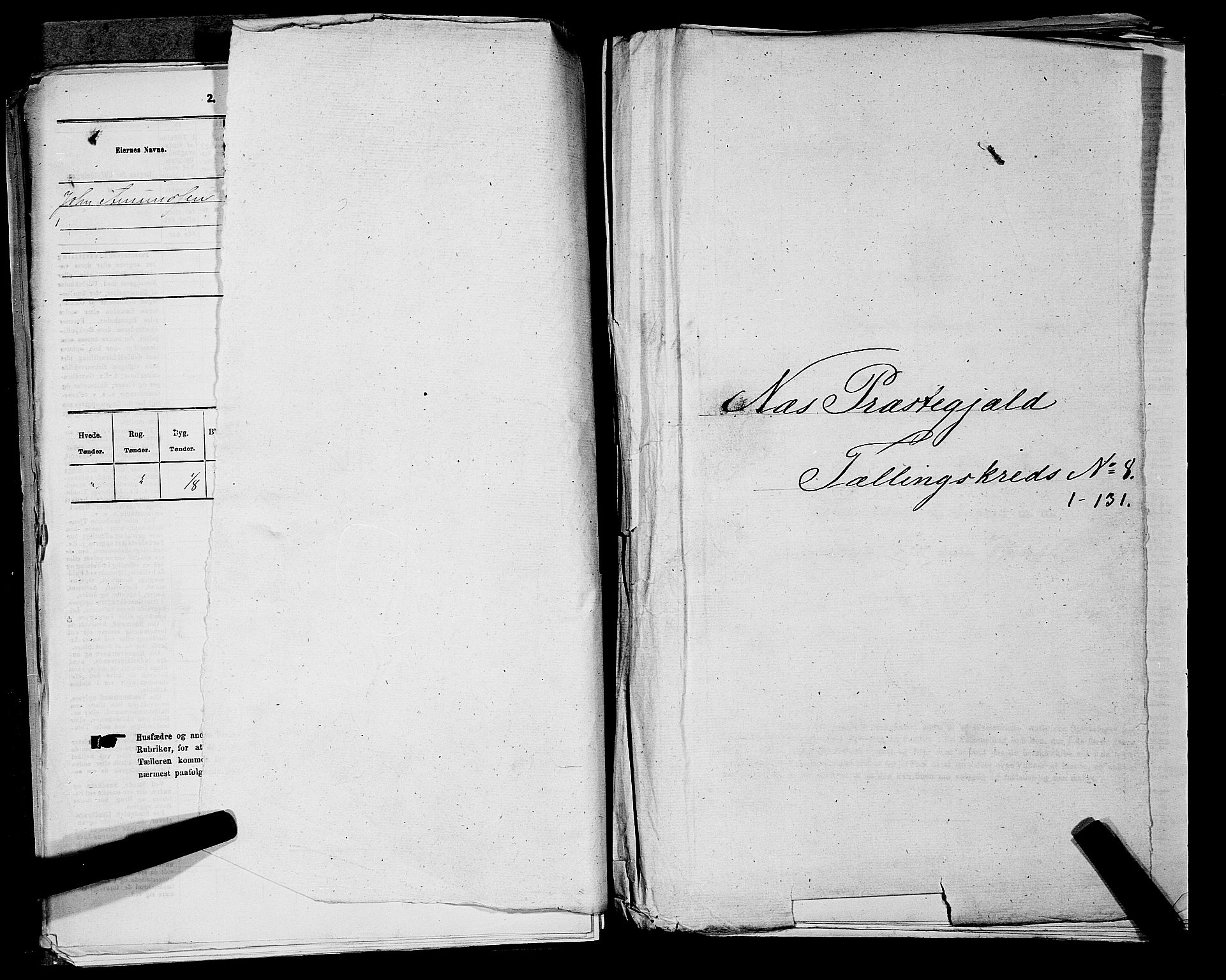 RA, 1875 census for 0236P Nes, 1875, p. 1228