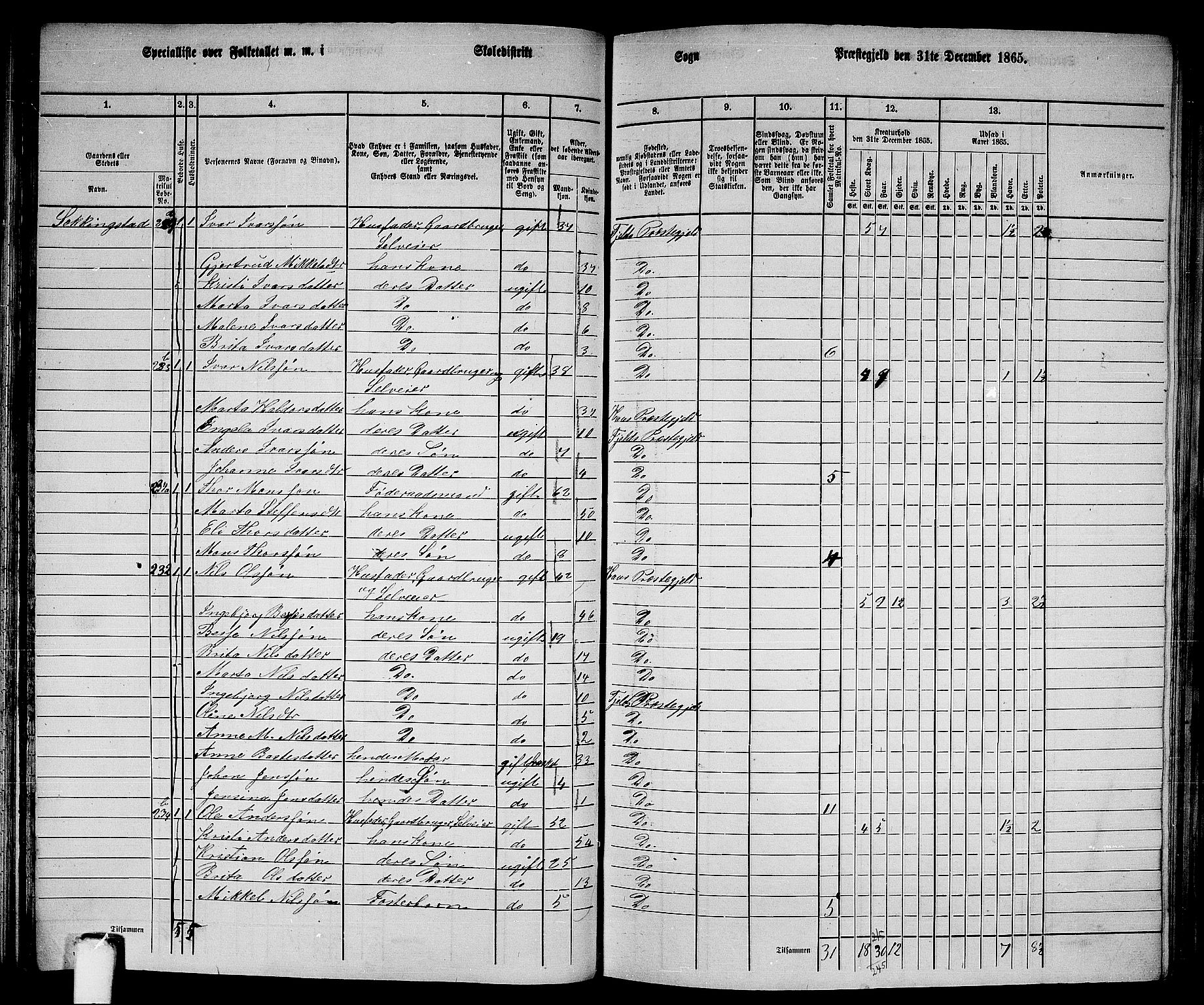 RA, 1865 census for Fjell, 1865, p. 80