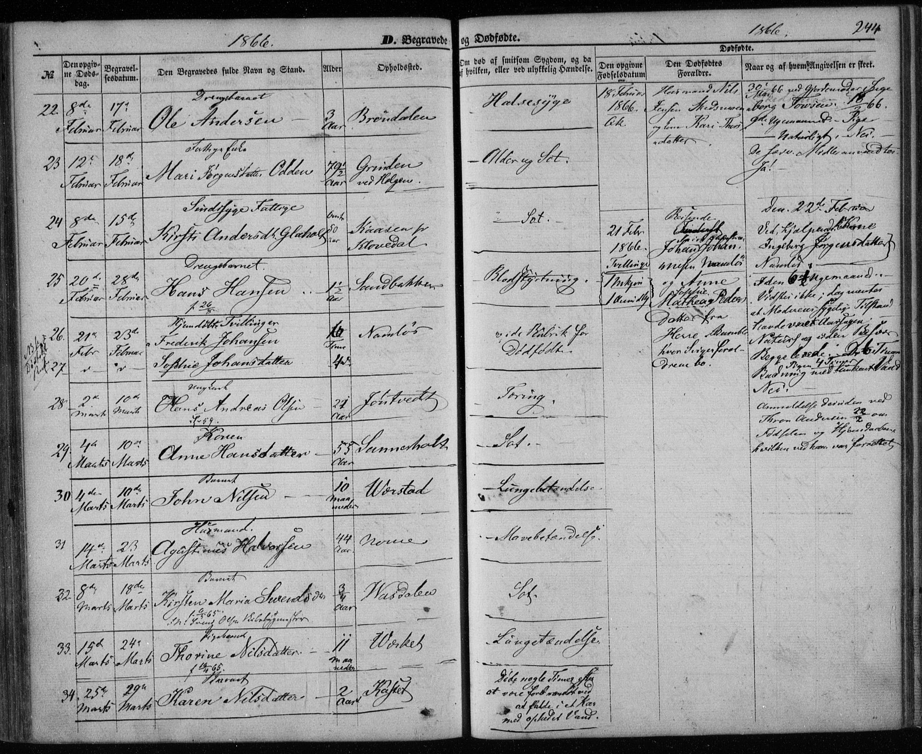 Holla kirkebøker, AV/SAKO-A-272/F/Fa/L0006: Parish register (official) no. 6, 1861-1869, p. 244