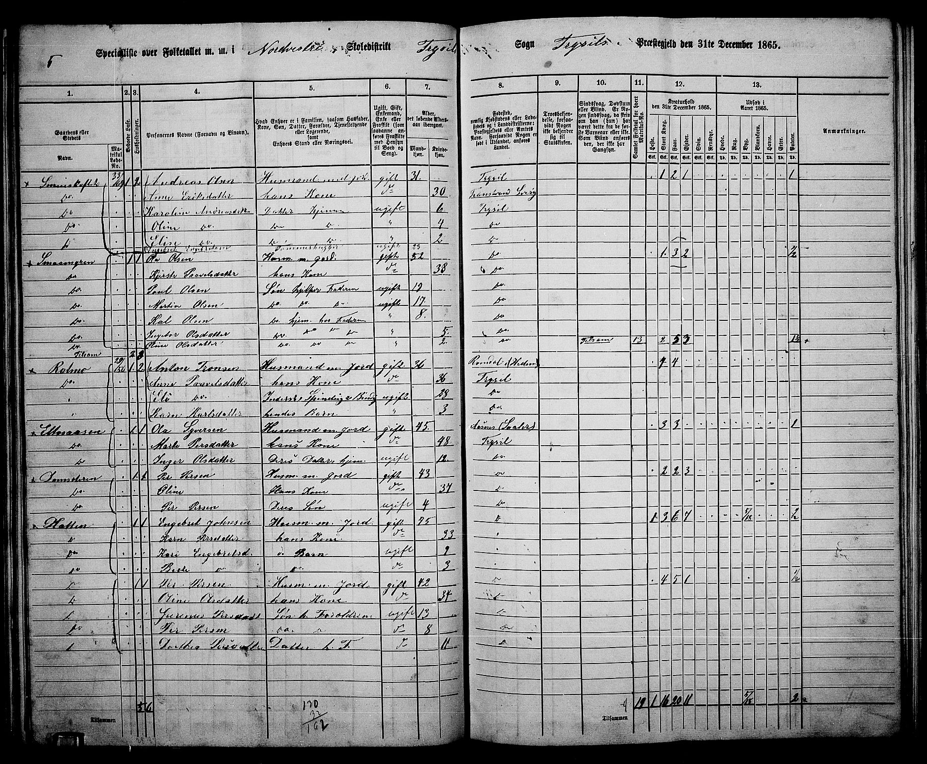 RA, 1865 census for Trysil, 1865, p. 62