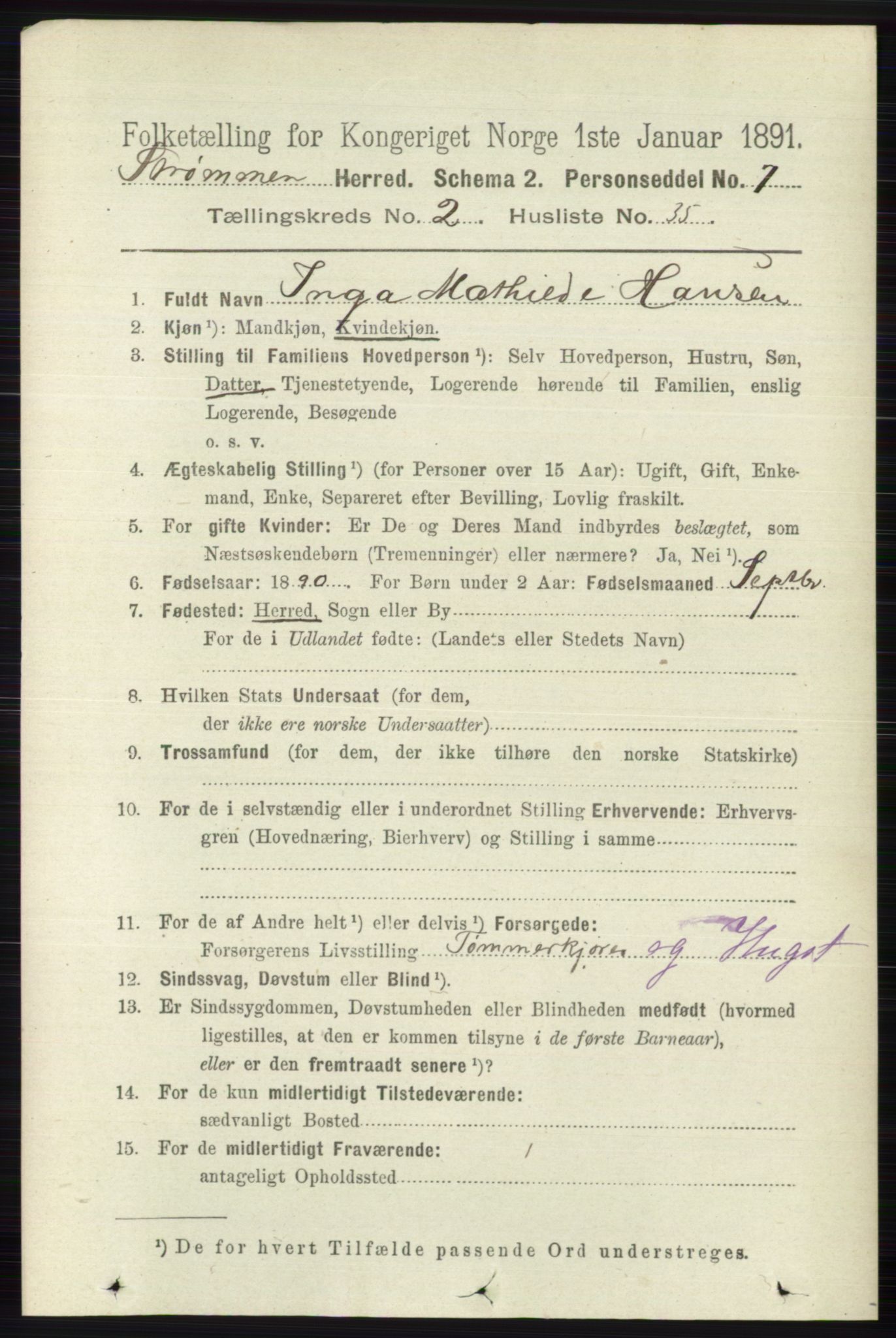 RA, 1891 census for 0711 Strømm, 1891, p. 902