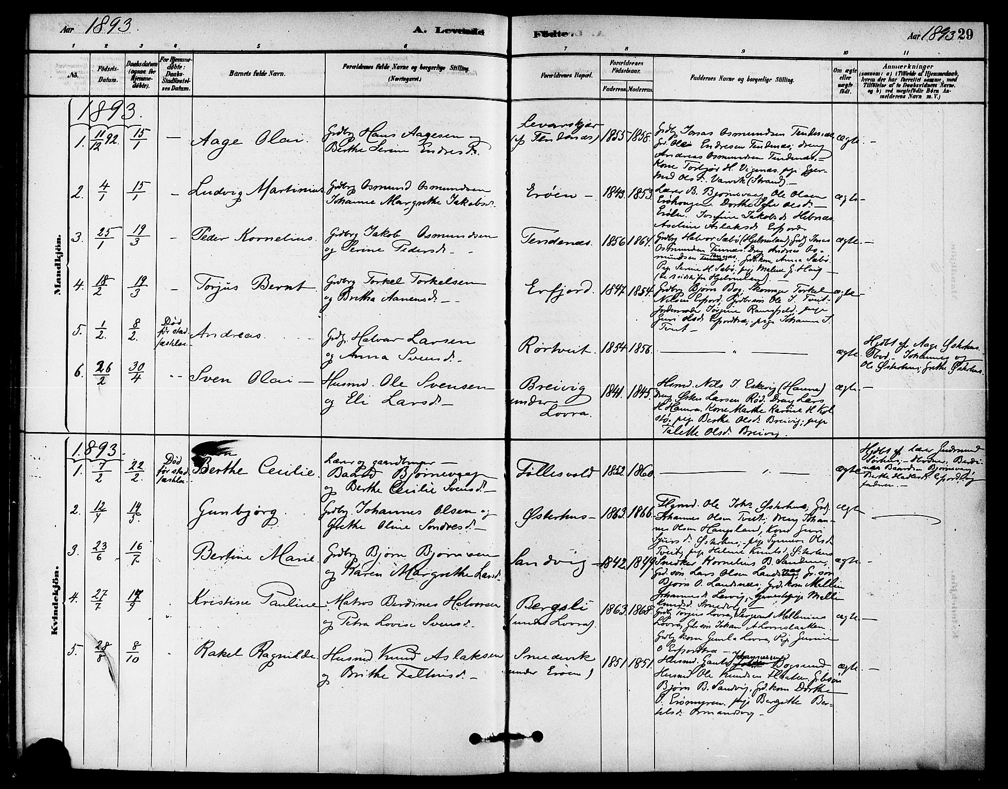 Jelsa sokneprestkontor, SAST/A-101842/01/IV: Parish register (official) no. A 9, 1878-1898, p. 29
