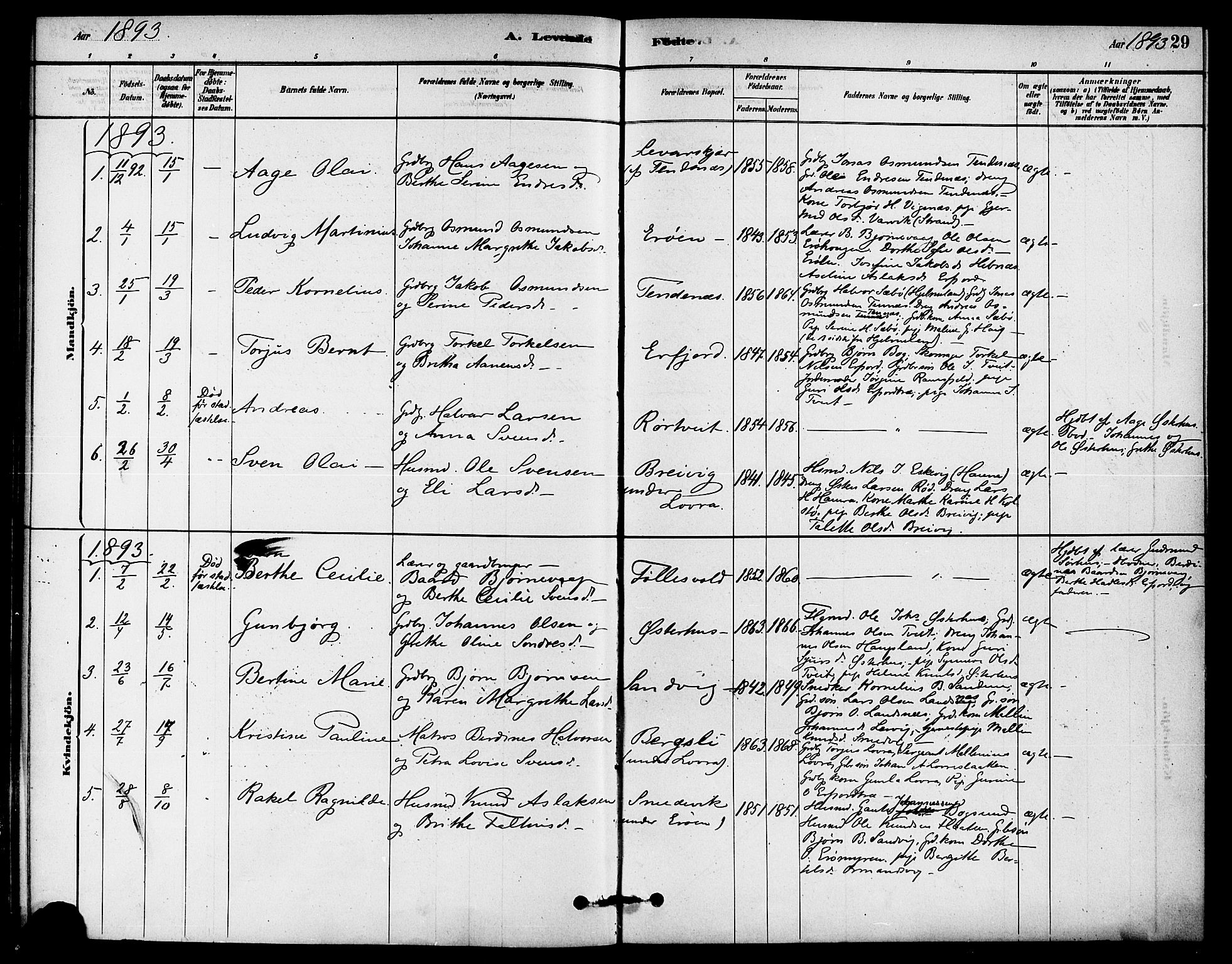 Jelsa sokneprestkontor, AV/SAST-A-101842/01/IV: Parish register (official) no. A 9, 1878-1898, p. 29