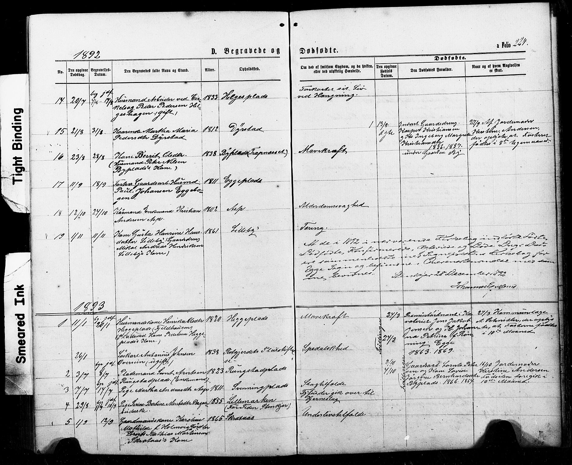 Ministerialprotokoller, klokkerbøker og fødselsregistre - Nord-Trøndelag, SAT/A-1458/740/L0380: Parish register (copy) no. 740C01, 1868-1902, p. 224