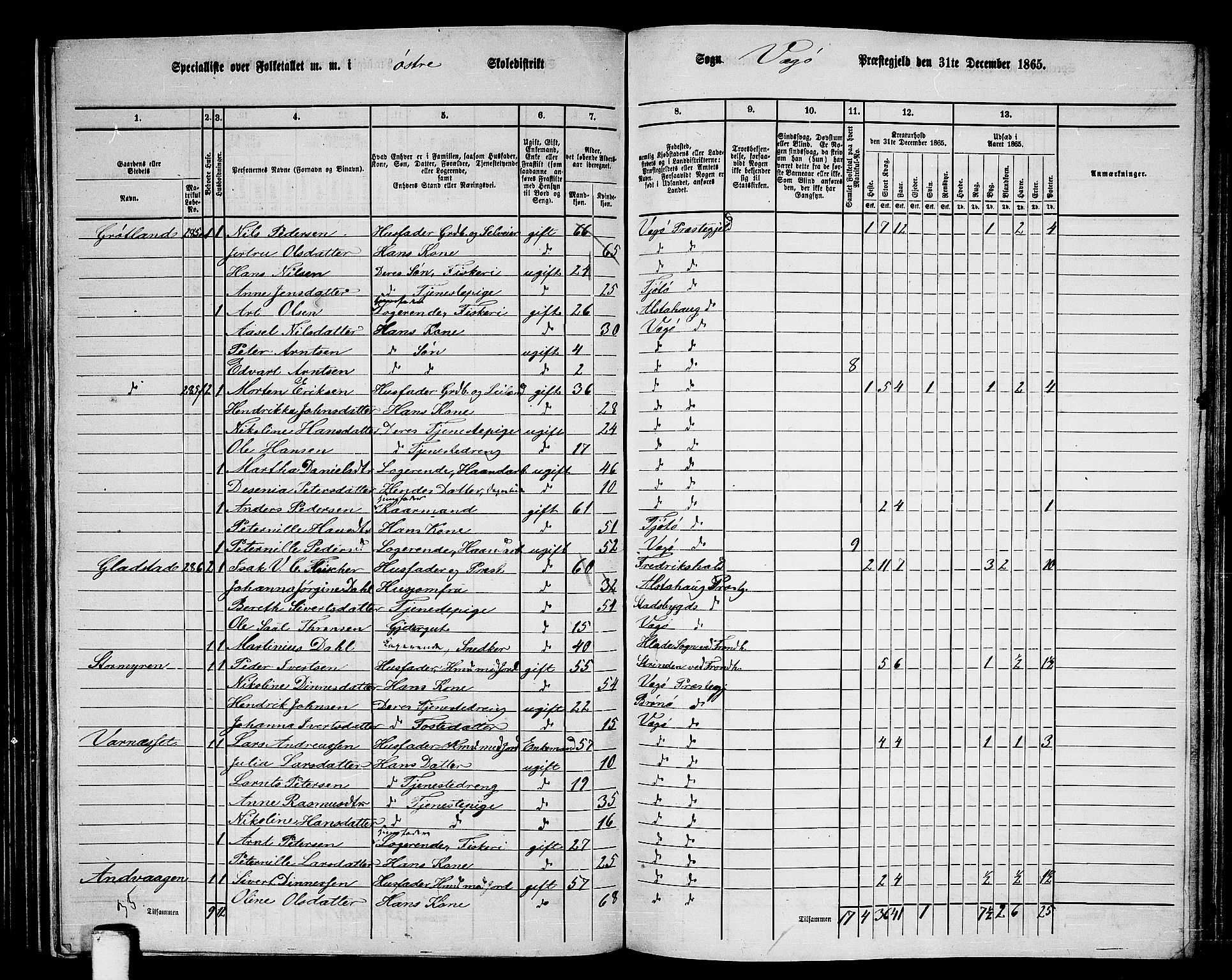 RA, 1865 census for Vega, 1865, p. 16