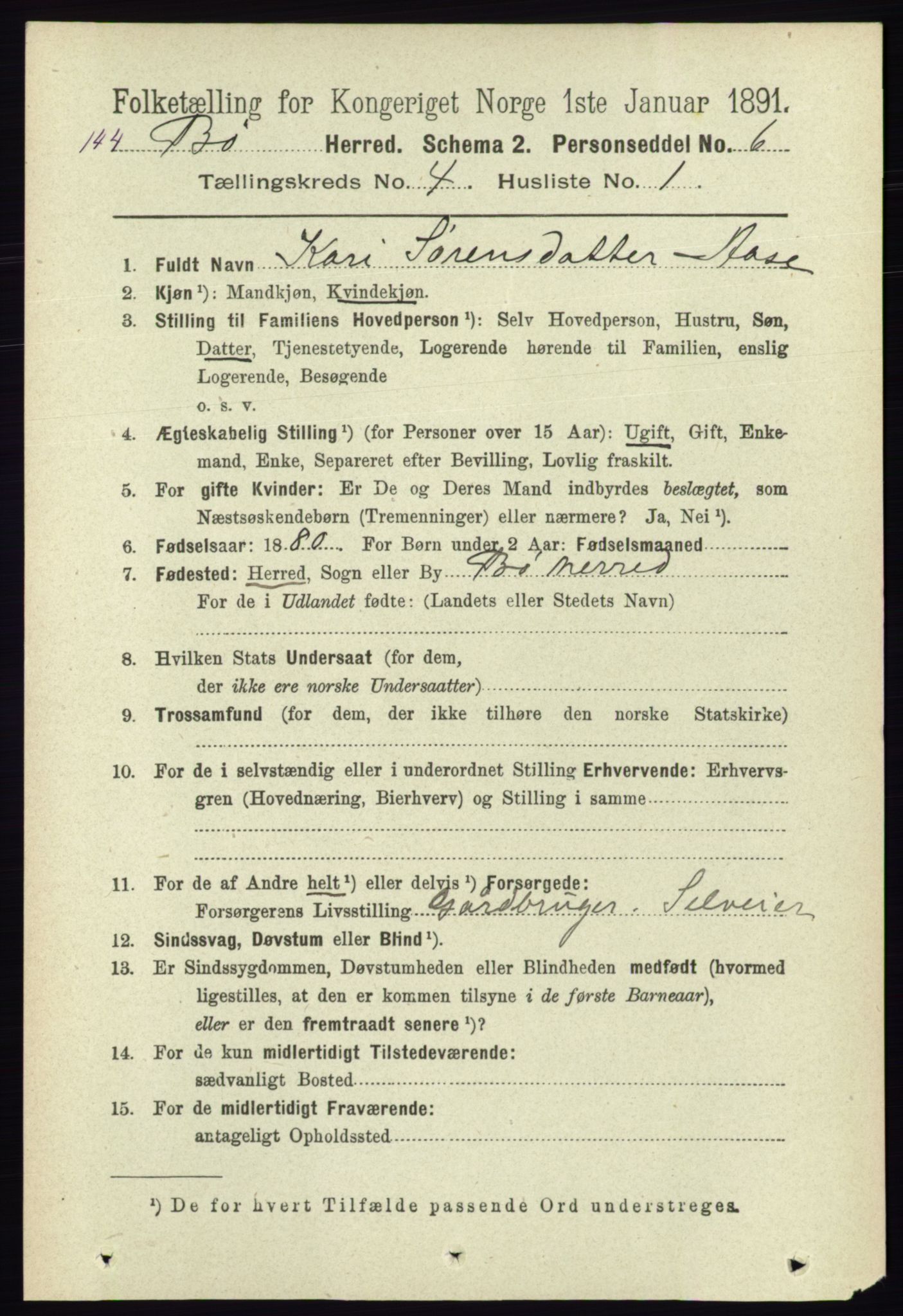 RA, 1891 census for 0821 Bø, 1891, p. 1229