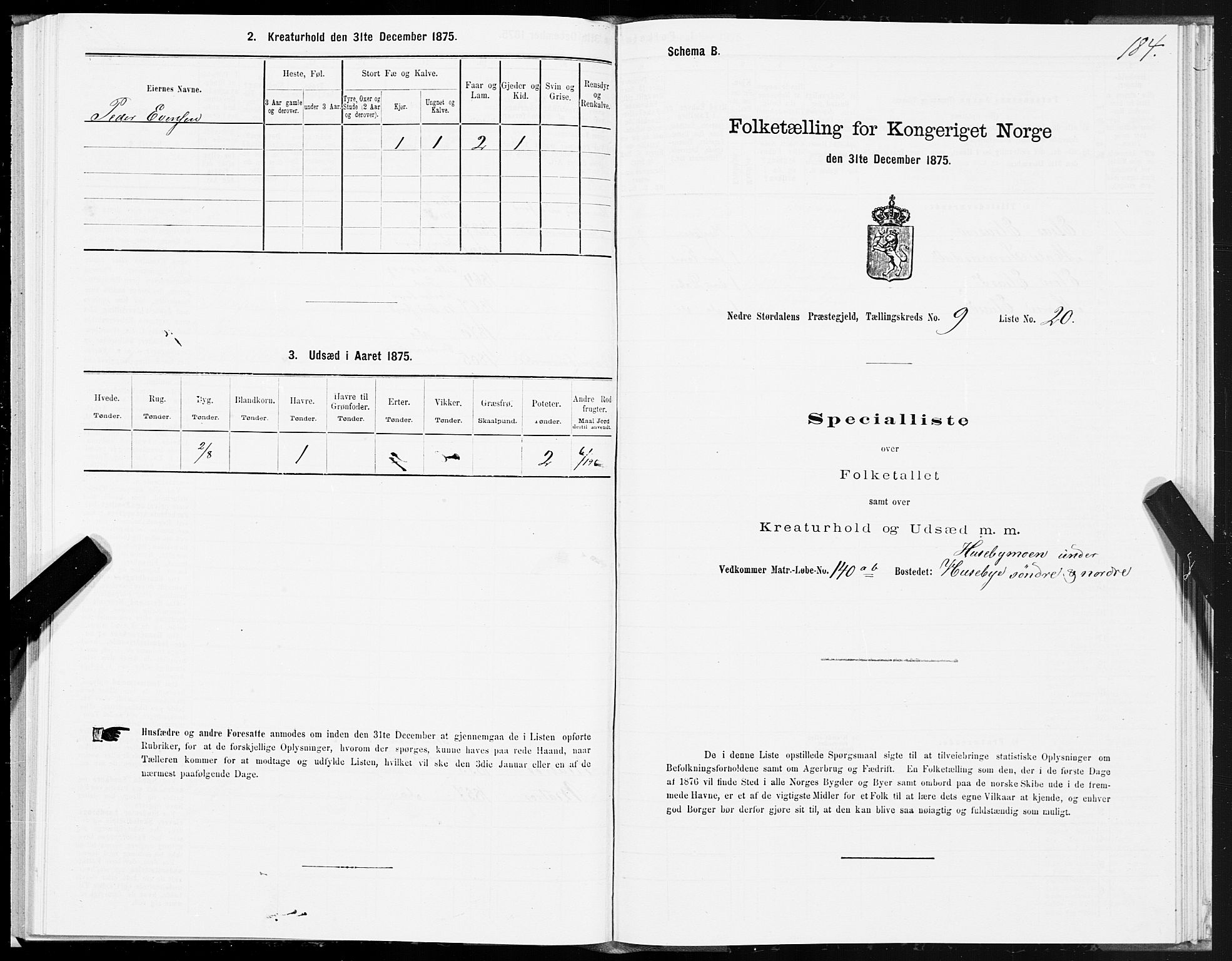 SAT, 1875 census for 1714P Nedre Stjørdal, 1875, p. 4184