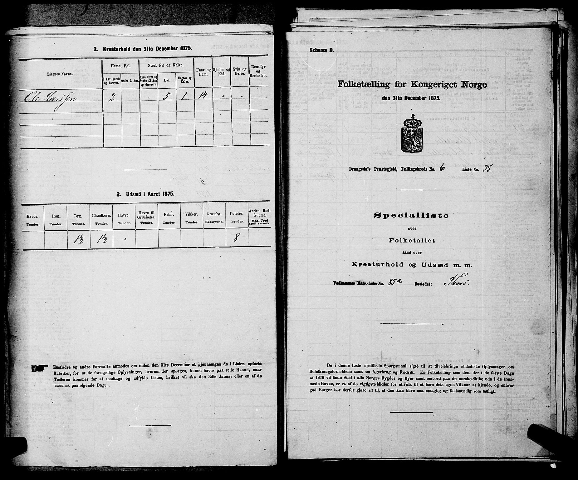 SAKO, 1875 census for 0817P Drangedal, 1875, p. 616