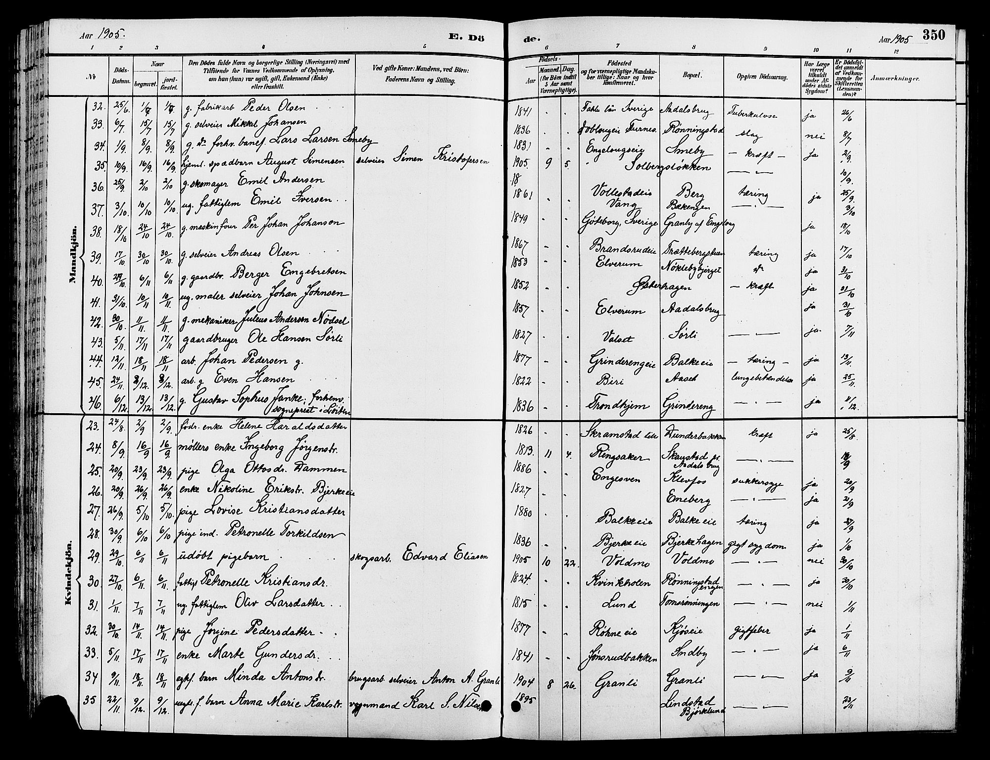 Løten prestekontor, AV/SAH-PREST-022/L/La/L0006: Parish register (copy) no. 6, 1892-1909, p. 350