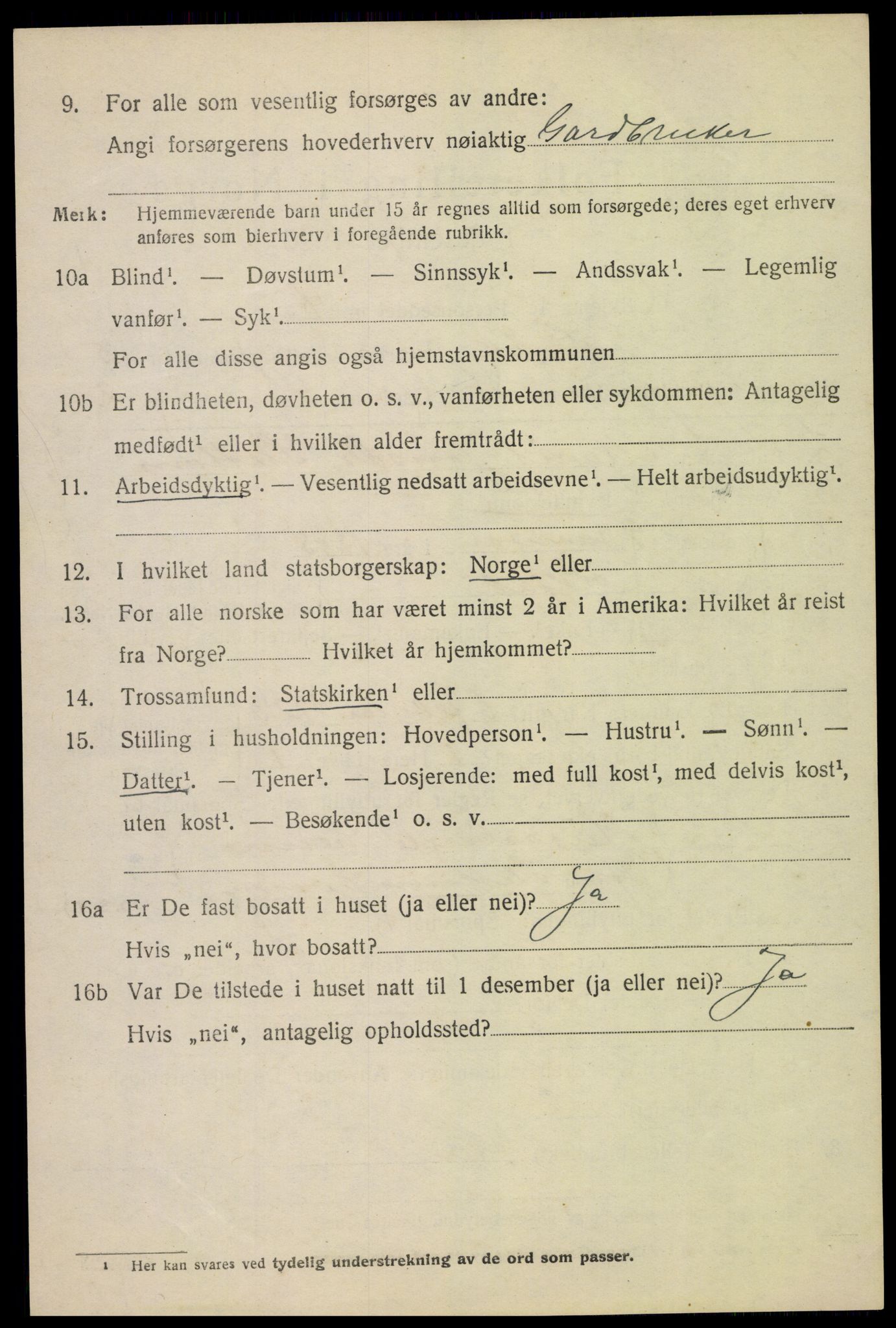 SAH, 1920 census for Skjåk, 1920, p. 2977