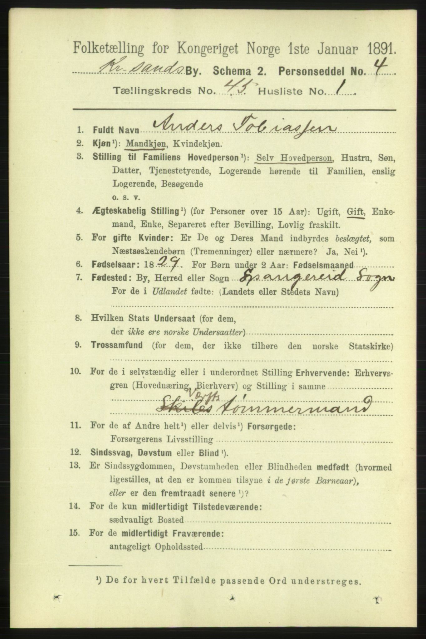 RA, 1891 census for 1001 Kristiansand, 1891, p. 13911