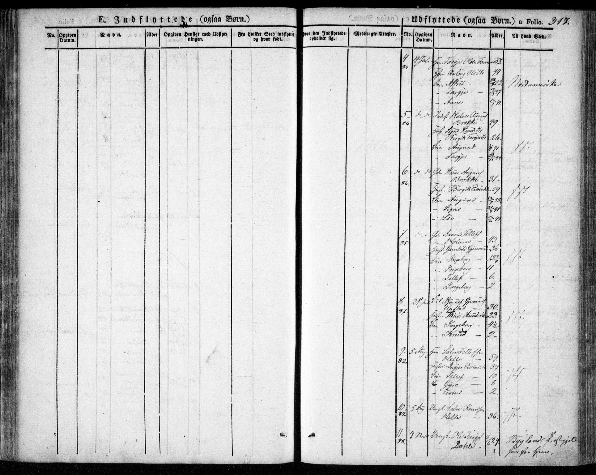 Valle sokneprestkontor, AV/SAK-1111-0044/F/Fa/Fac/L0006: Parish register (official) no. A 6, 1831-1853, p. 317