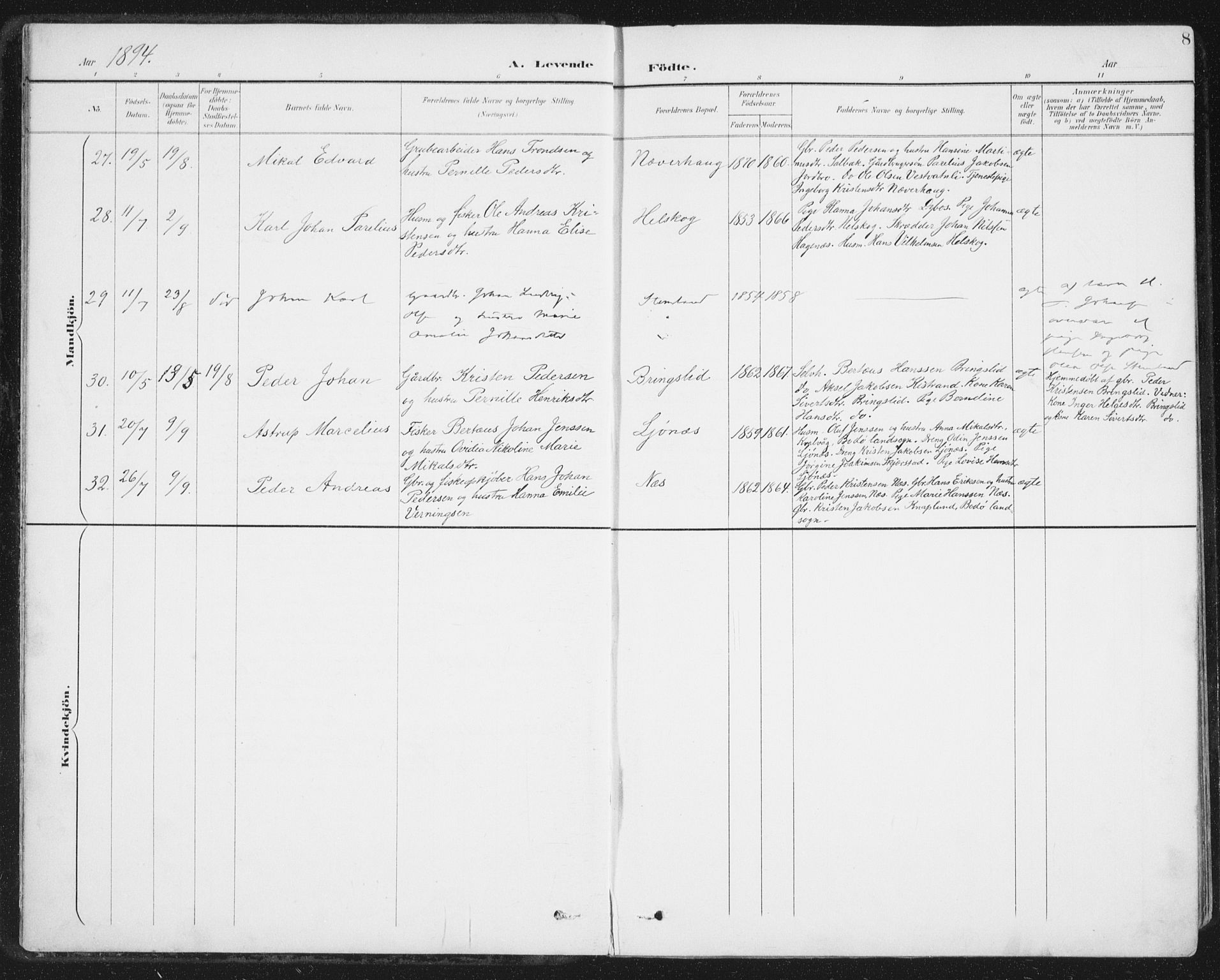 Ministerialprotokoller, klokkerbøker og fødselsregistre - Nordland, AV/SAT-A-1459/852/L0741: Parish register (official) no. 852A11, 1894-1917, p. 8