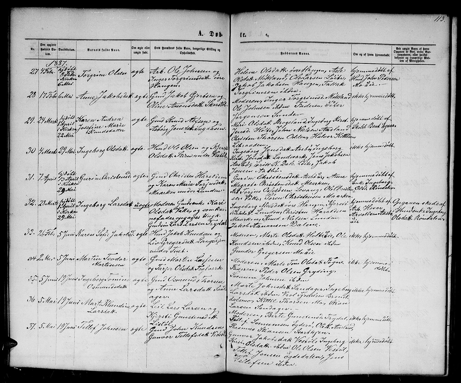 Gjerstad sokneprestkontor, AV/SAK-1111-0014/F/Fb/Fba/L0006: Parish register (copy) no. B 6, 1868-1890, p. 113