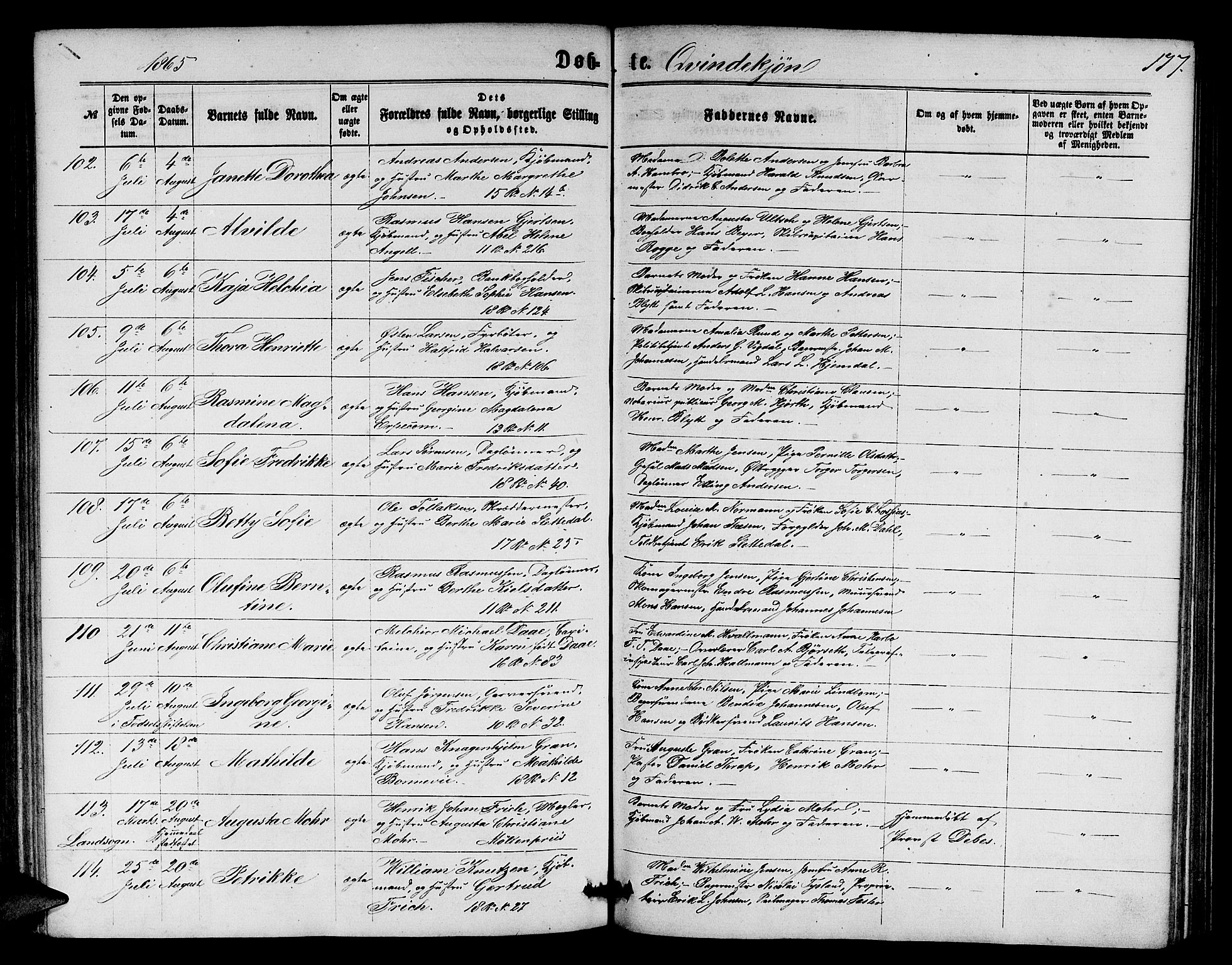 Domkirken sokneprestembete, SAB/A-74801/H/Hab/L0012: Parish register (copy) no. B 5, 1862-1869, p. 177