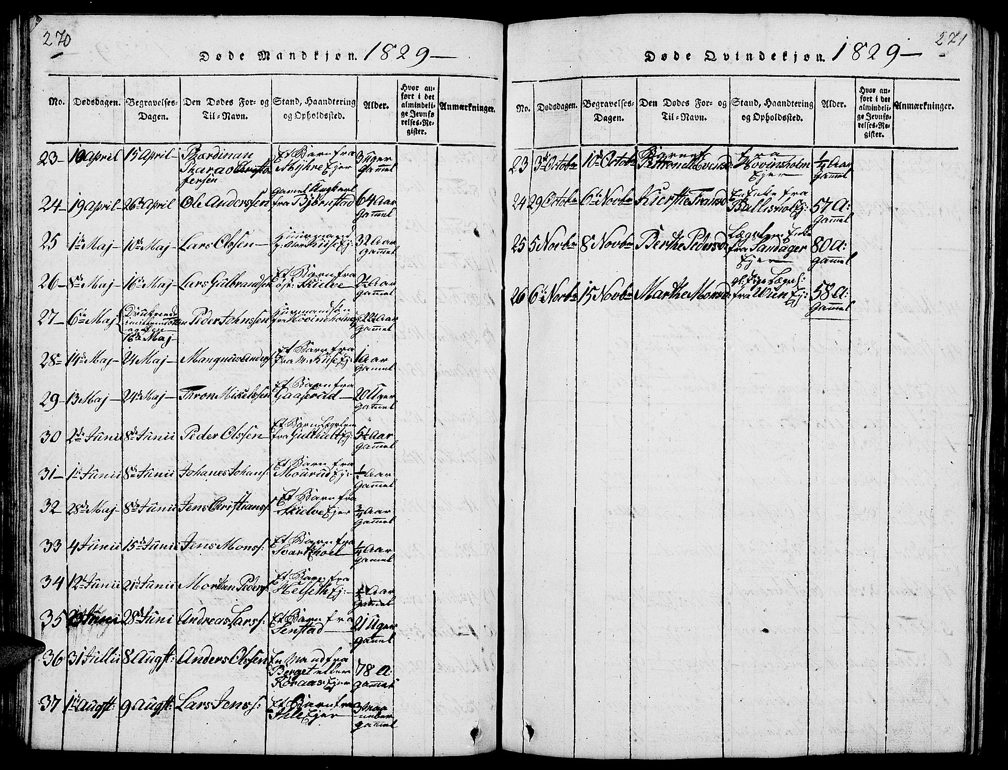 Nes prestekontor, Hedmark, SAH/PREST-020/L/La/L0003: Parish register (copy) no. 3, 1814-1831, p. 270-271