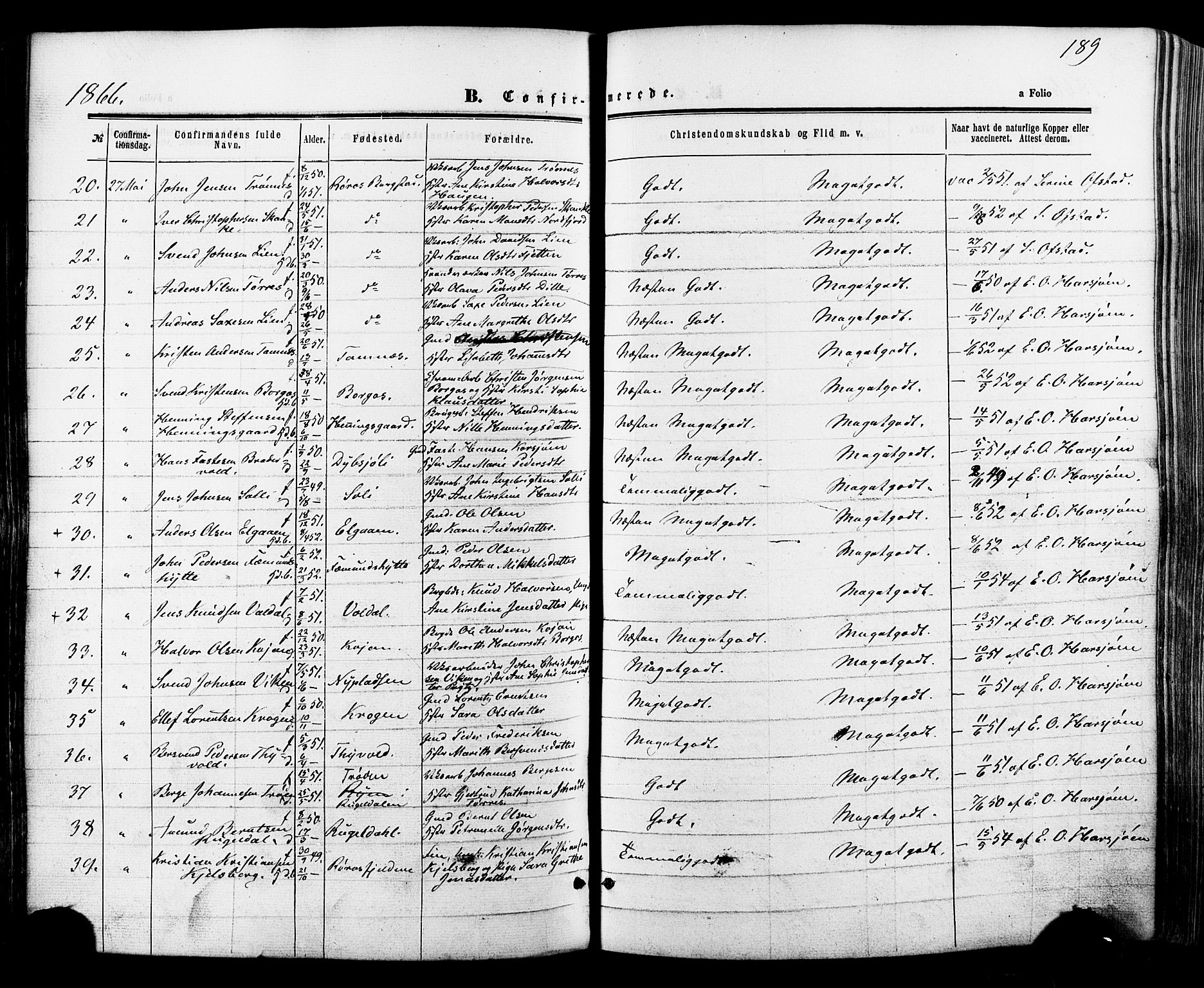 Ministerialprotokoller, klokkerbøker og fødselsregistre - Sør-Trøndelag, SAT/A-1456/681/L0932: Parish register (official) no. 681A10, 1860-1878, p. 189